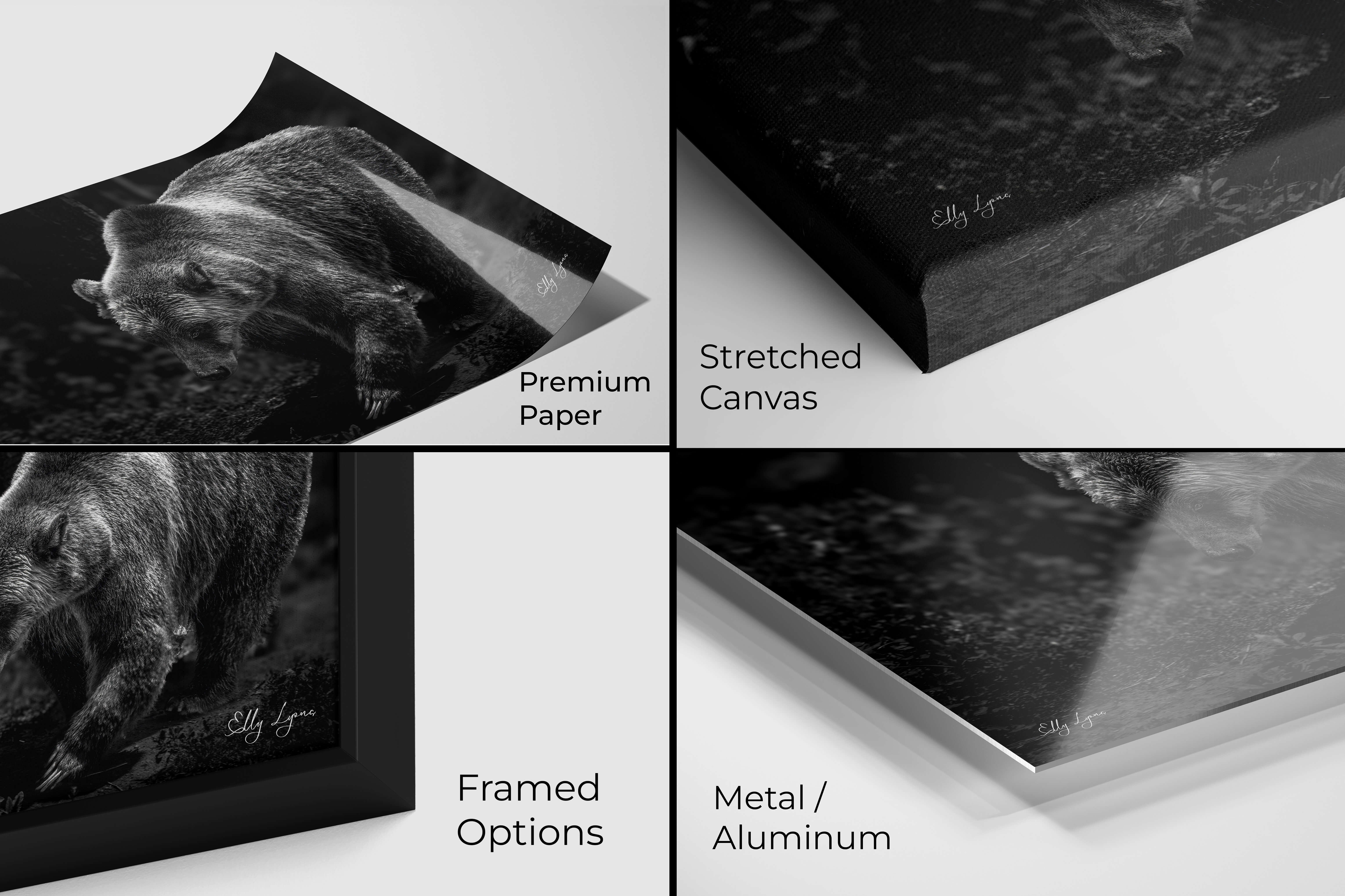 Close-up display of ‘The Untamed Spirit’ grizzly bear fine art print in four material options: premium photo paper, stretched canvas, framed paper, and metal/aluminum finish.