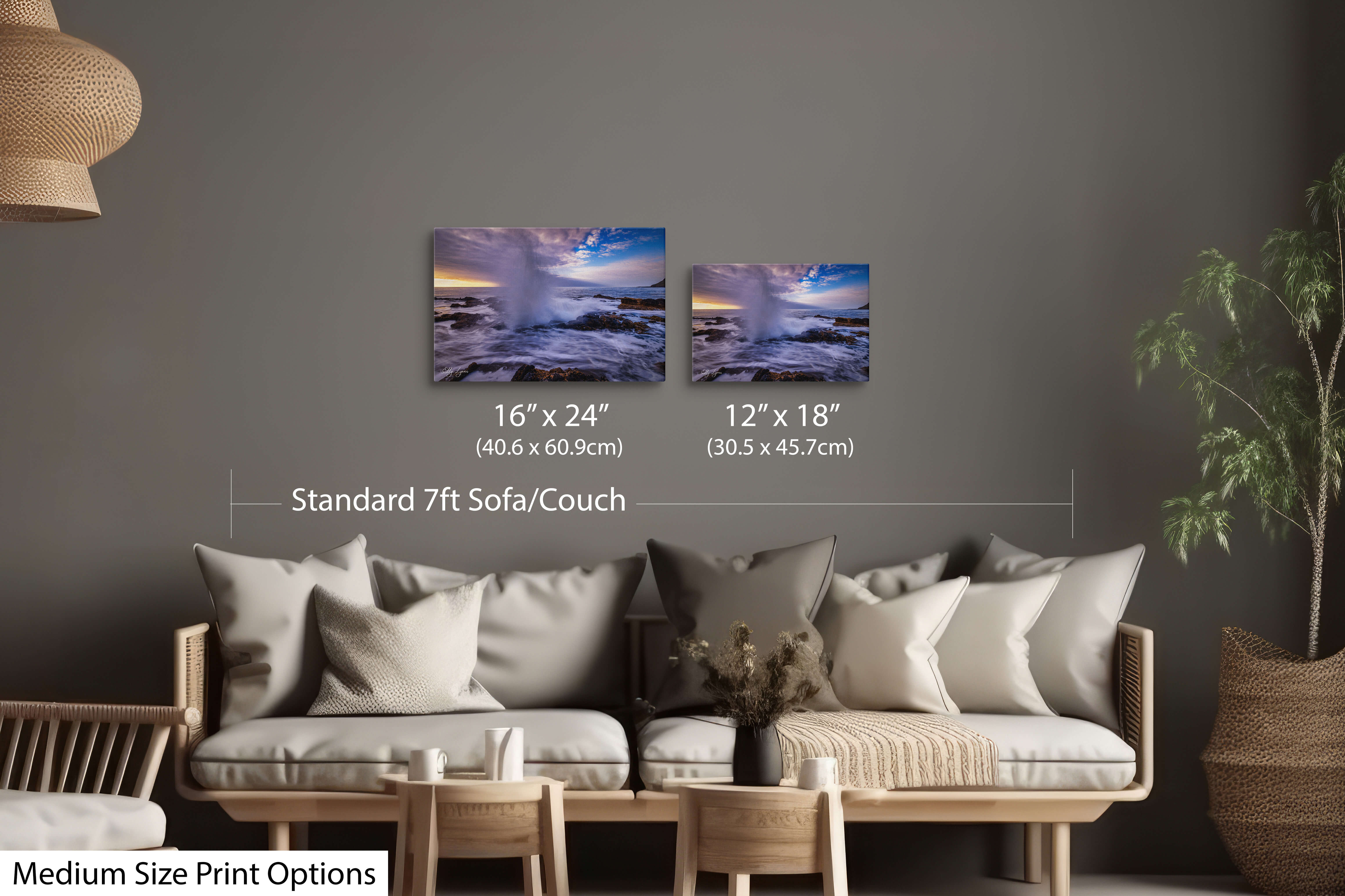 Pair of medium seascape prints including blowhole spray and rocky coast.