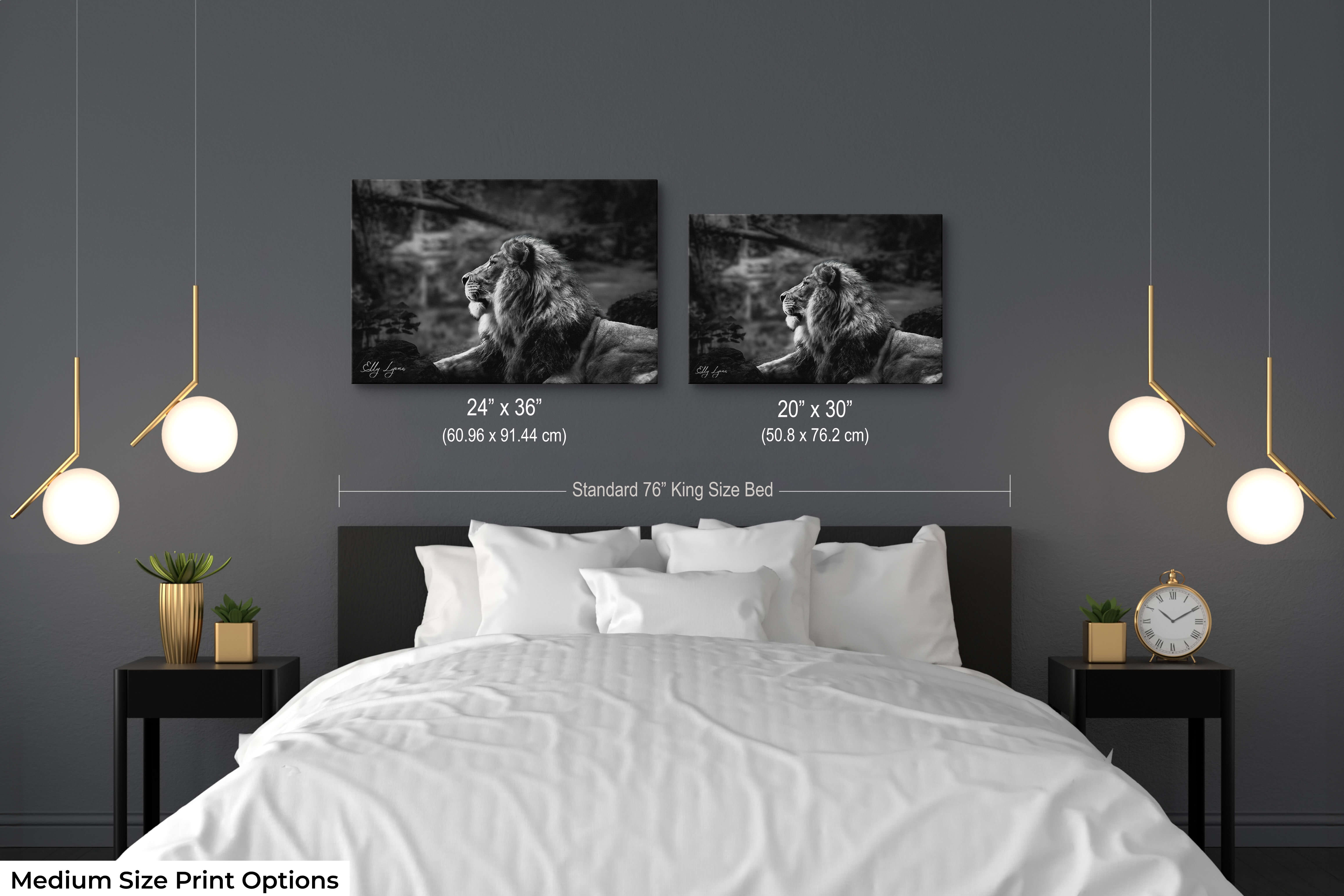 Black and white lion photography print in 20x30 and 24x36 sizes above a stylish modern bedroom with a king-size bed.