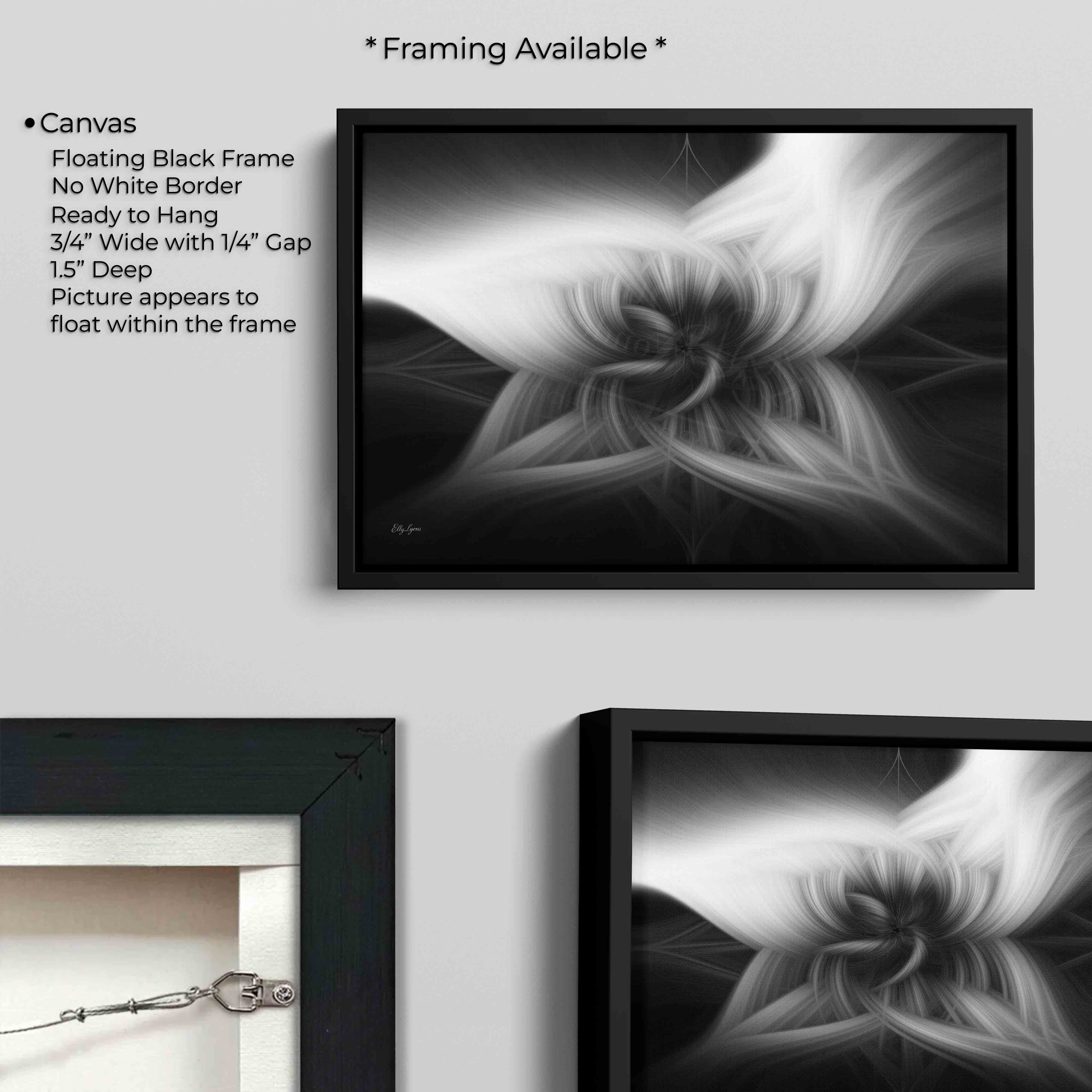 Black & White Abstract Print - "Grace In The Shadows"