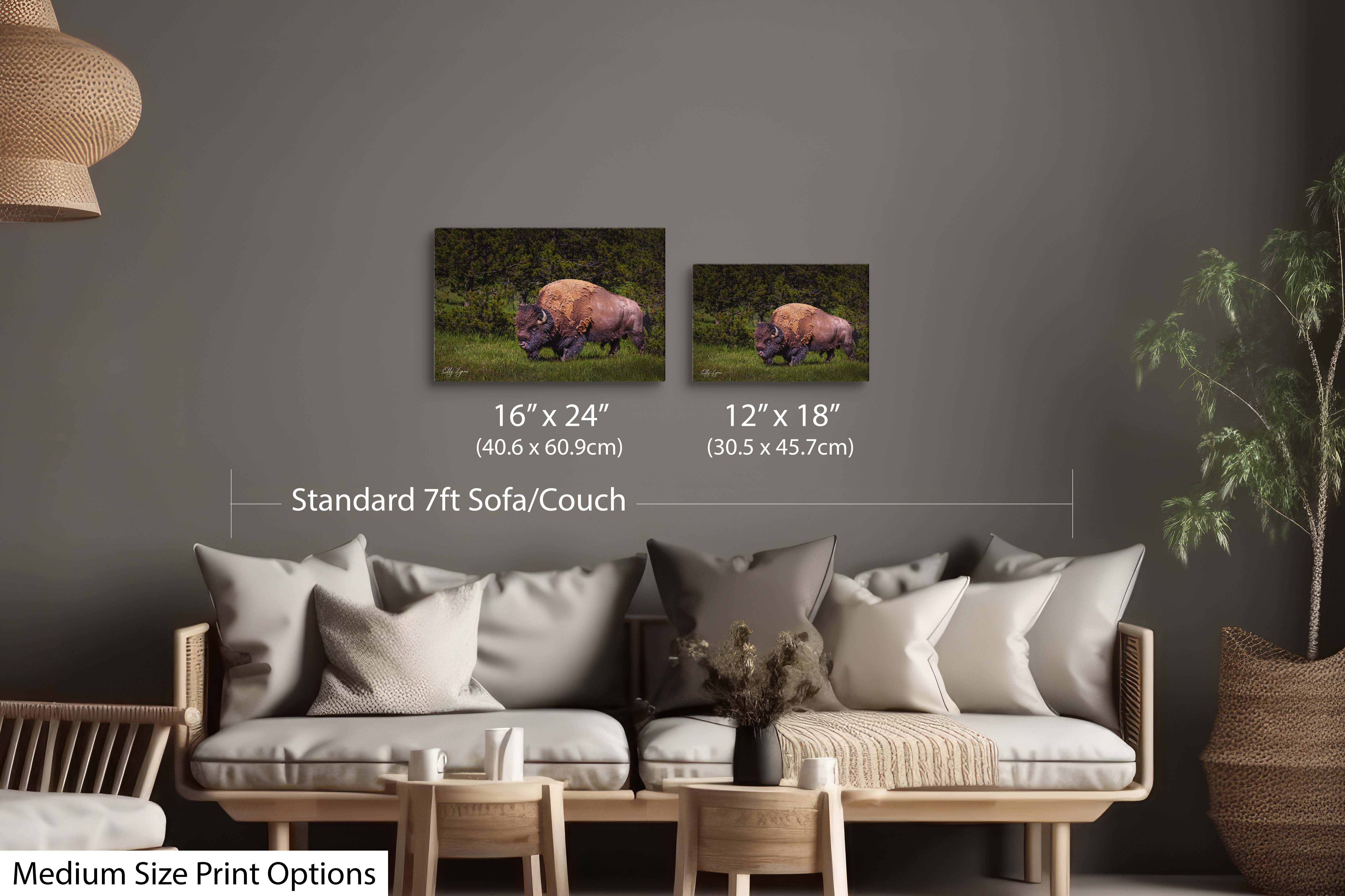 American Bison Wall Art – Majestic Wildlife Decor | Fine Art Nature Print