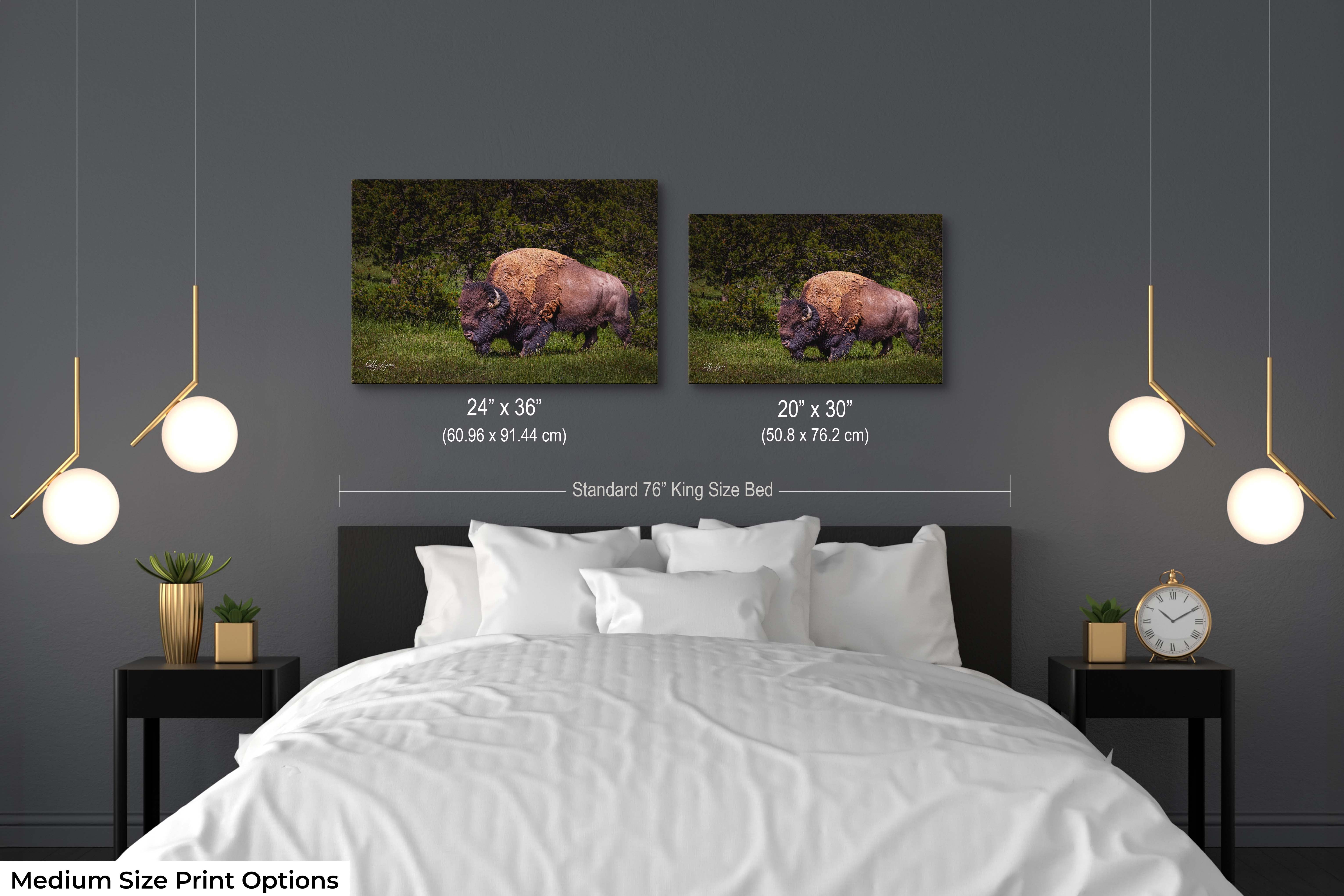 American Bison Wall Art – Majestic Wildlife Decor | Fine Art Nature Print
