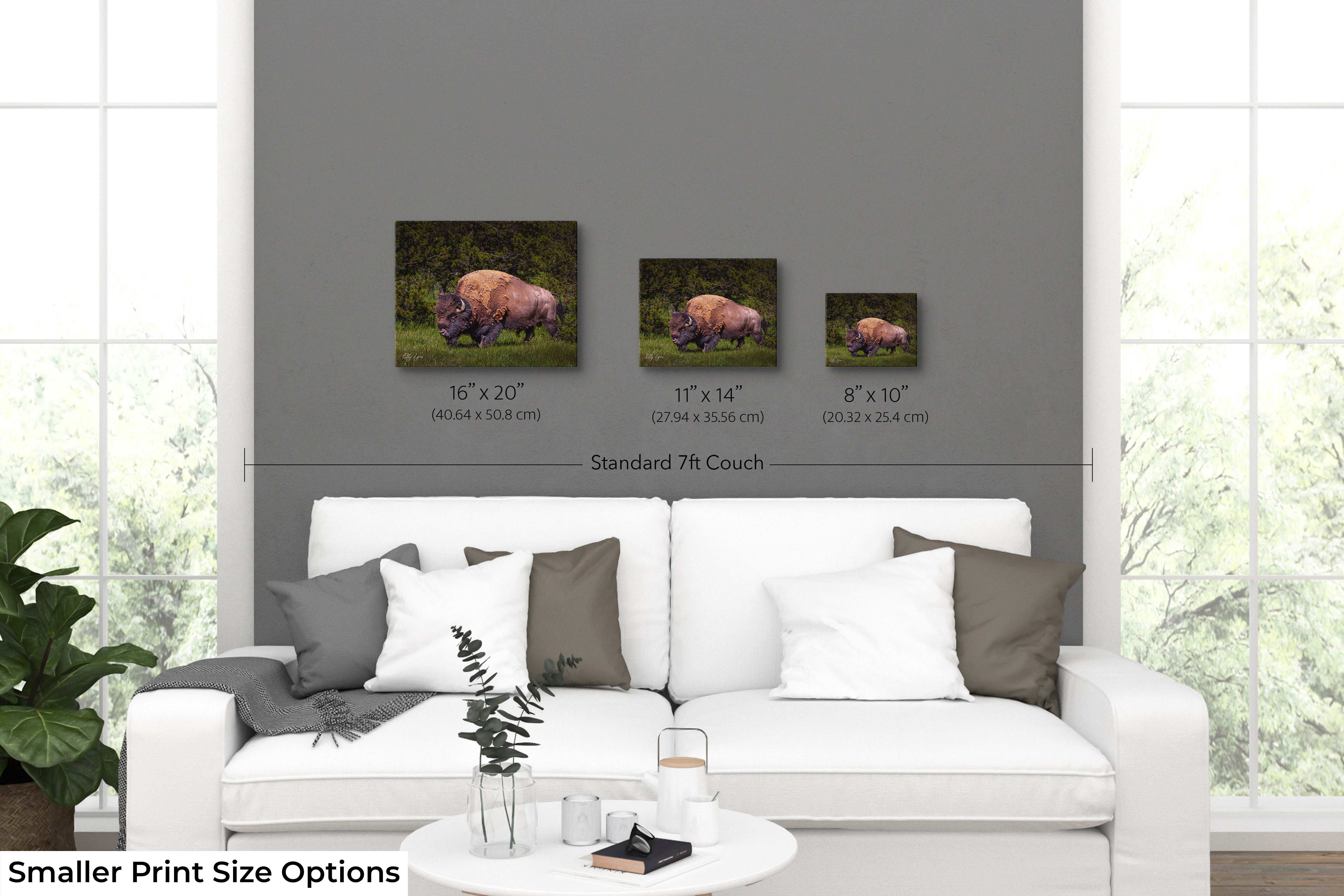 American Bison Wall Art – Majestic Wildlife Decor | Fine Art Nature Print