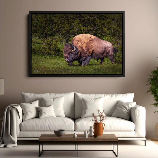 American Bison Wall Art – Majestic Wildlife Decor | Fine Art Nature Print