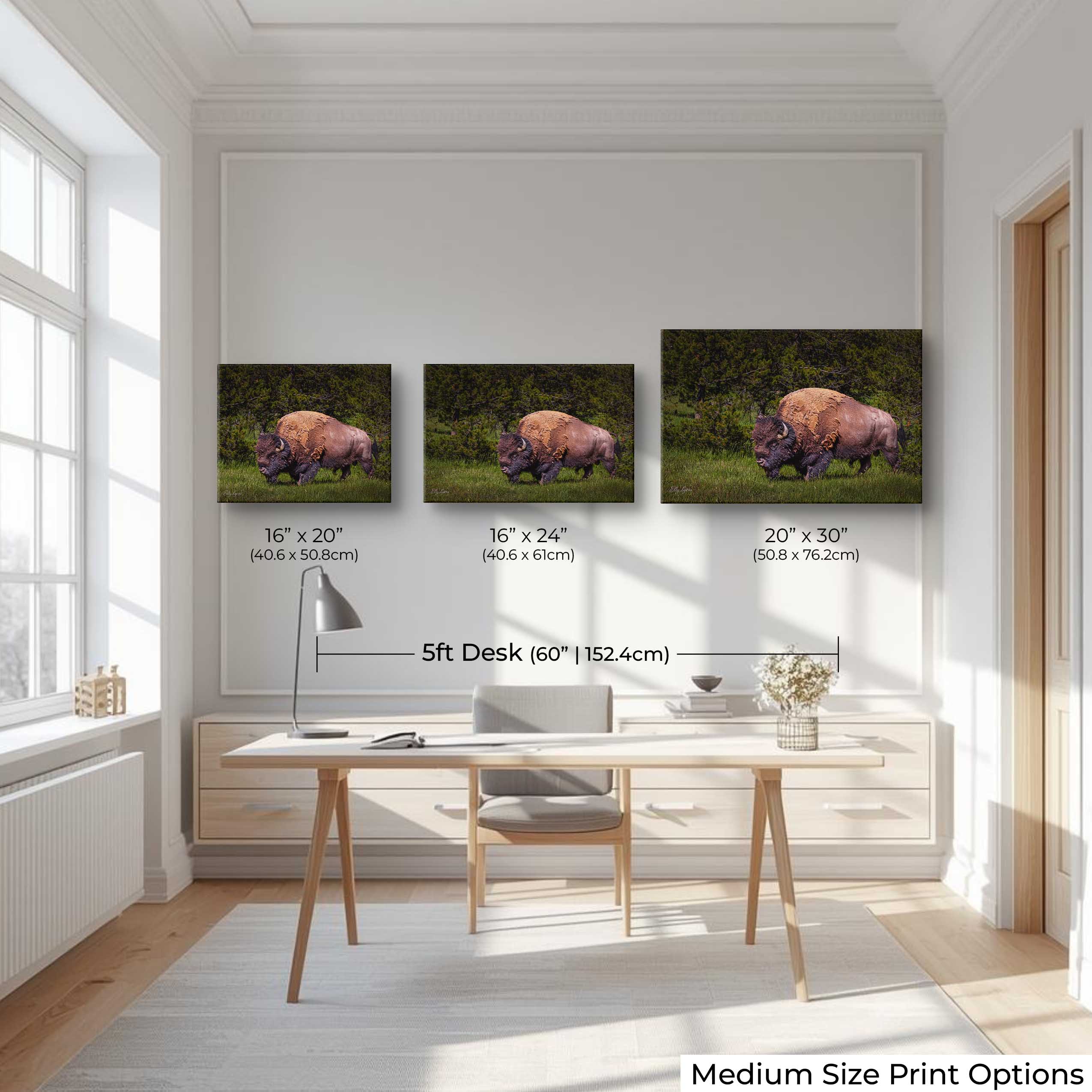 American Bison Wall Art – Majestic Wildlife Decor | Fine Art Nature Print