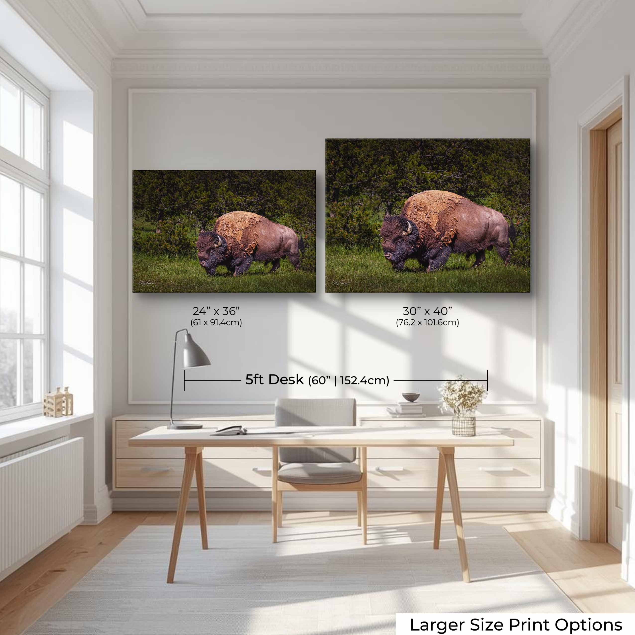 American Bison Wall Art – Majestic Wildlife Decor | Fine Art Nature Print