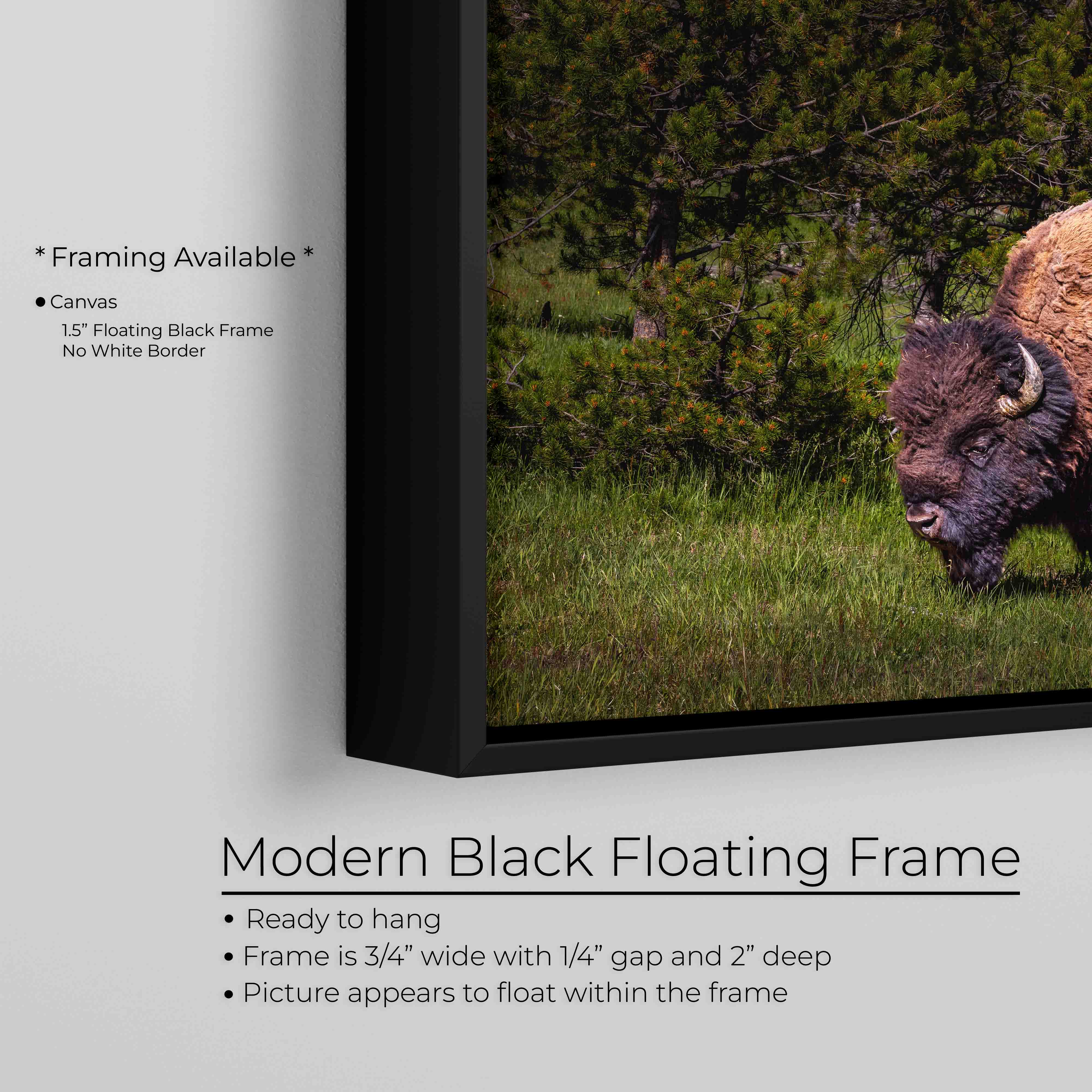 American Bison Wall Art – Majestic Wildlife Decor | Fine Art Nature Print