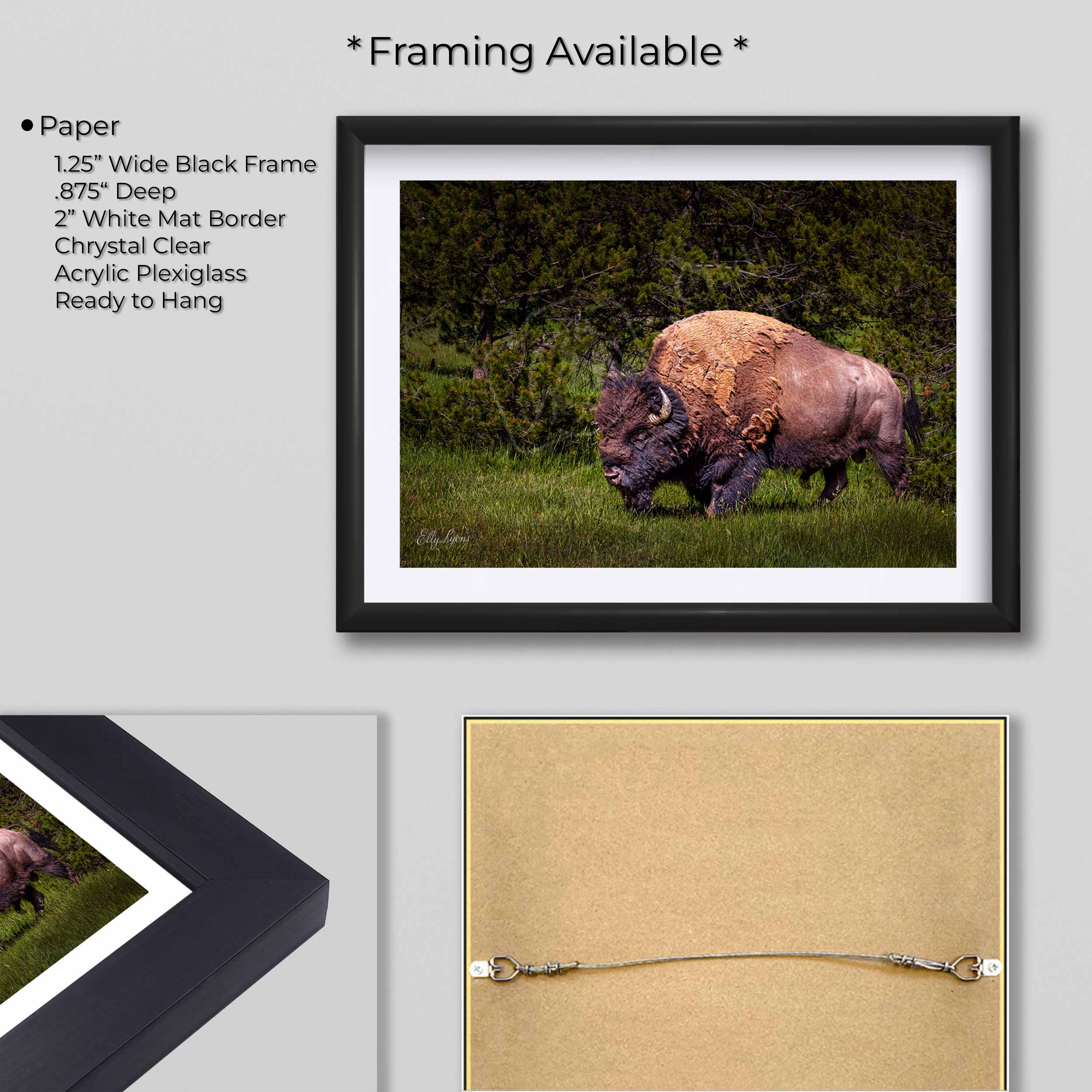 American Bison Print, Majestic Wildlife Decor