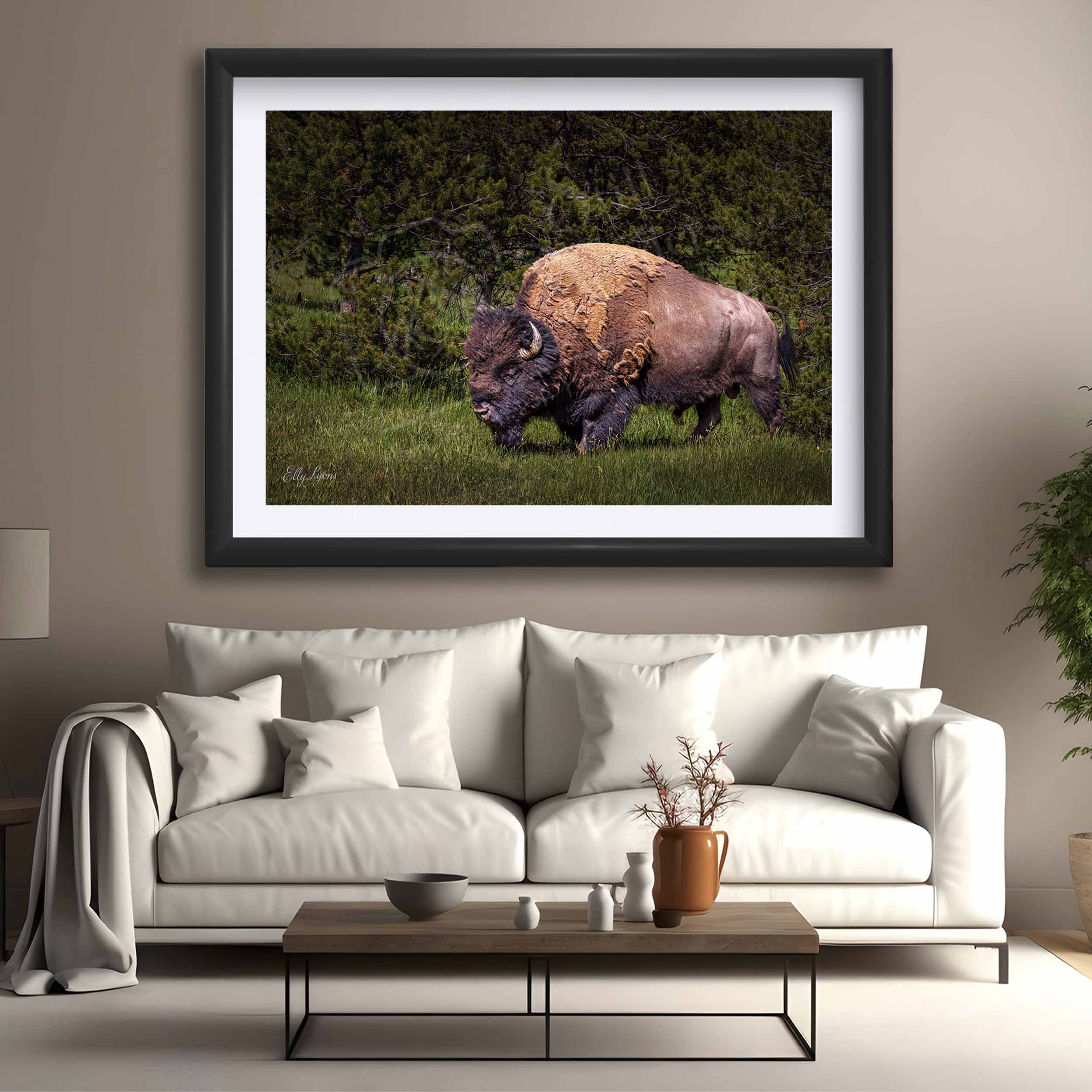 American Bison Print, Majestic Wildlife Decor
