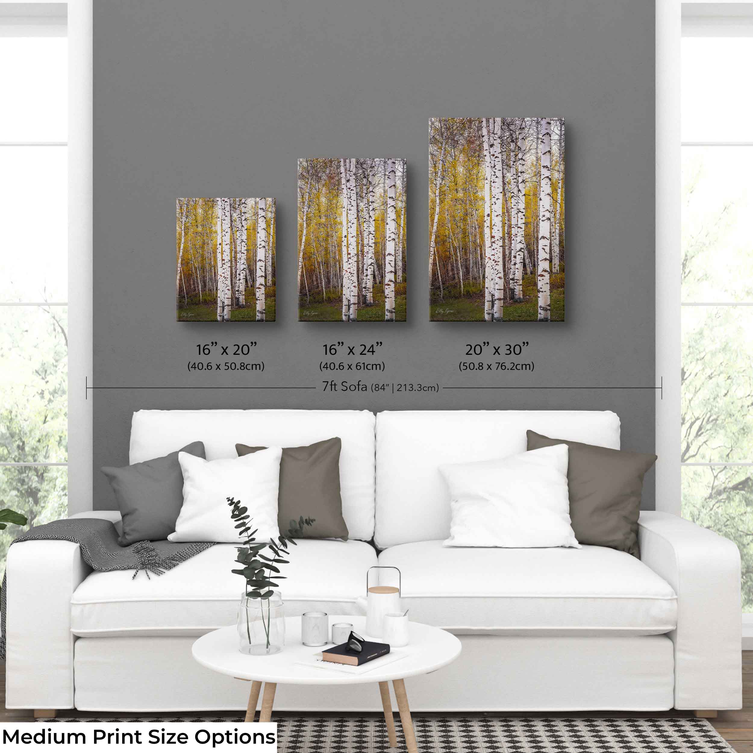 Aspen Grove Art Print – Tranquil Forest Landscape