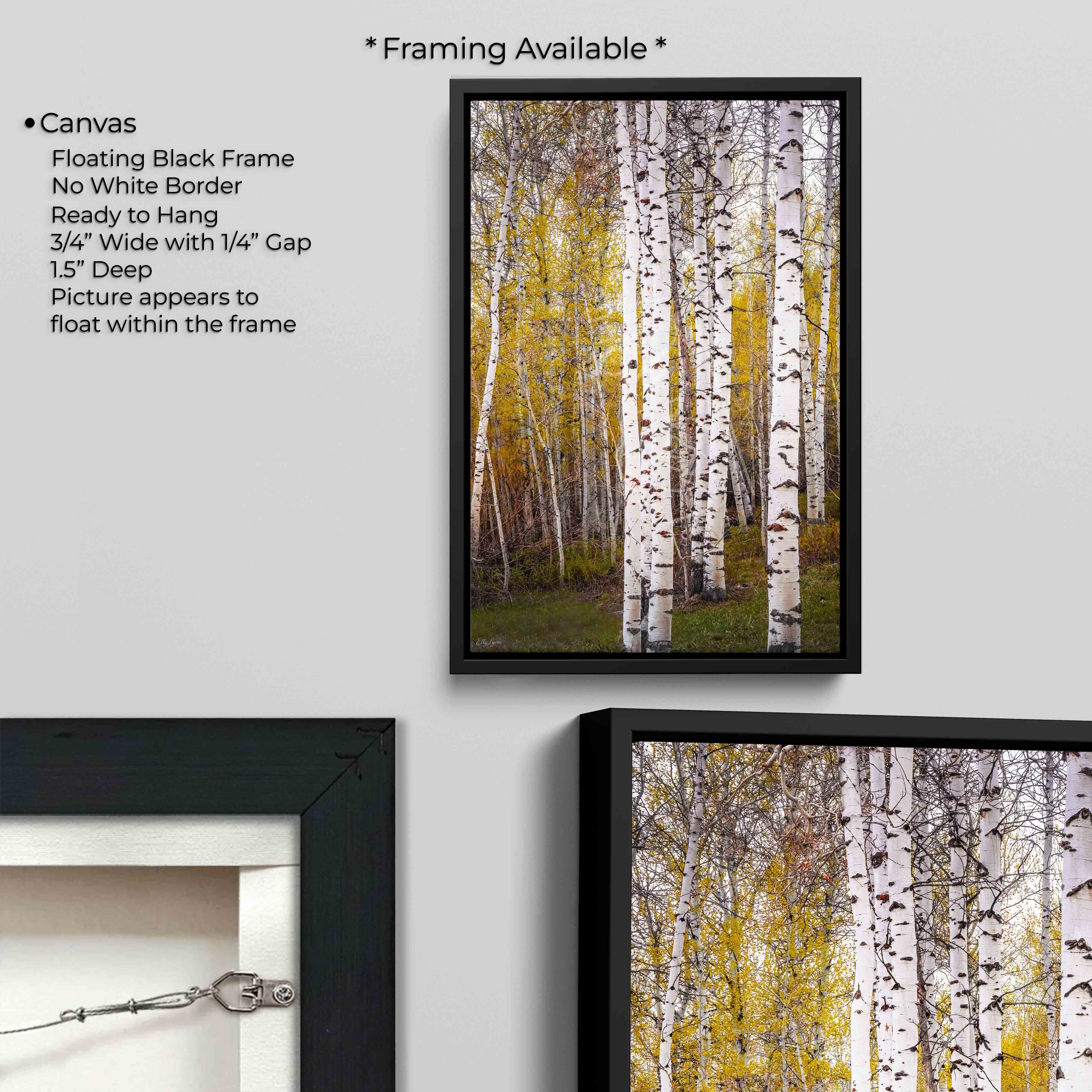Aspen Grove Print – Tranquil Forest Landscape Decor