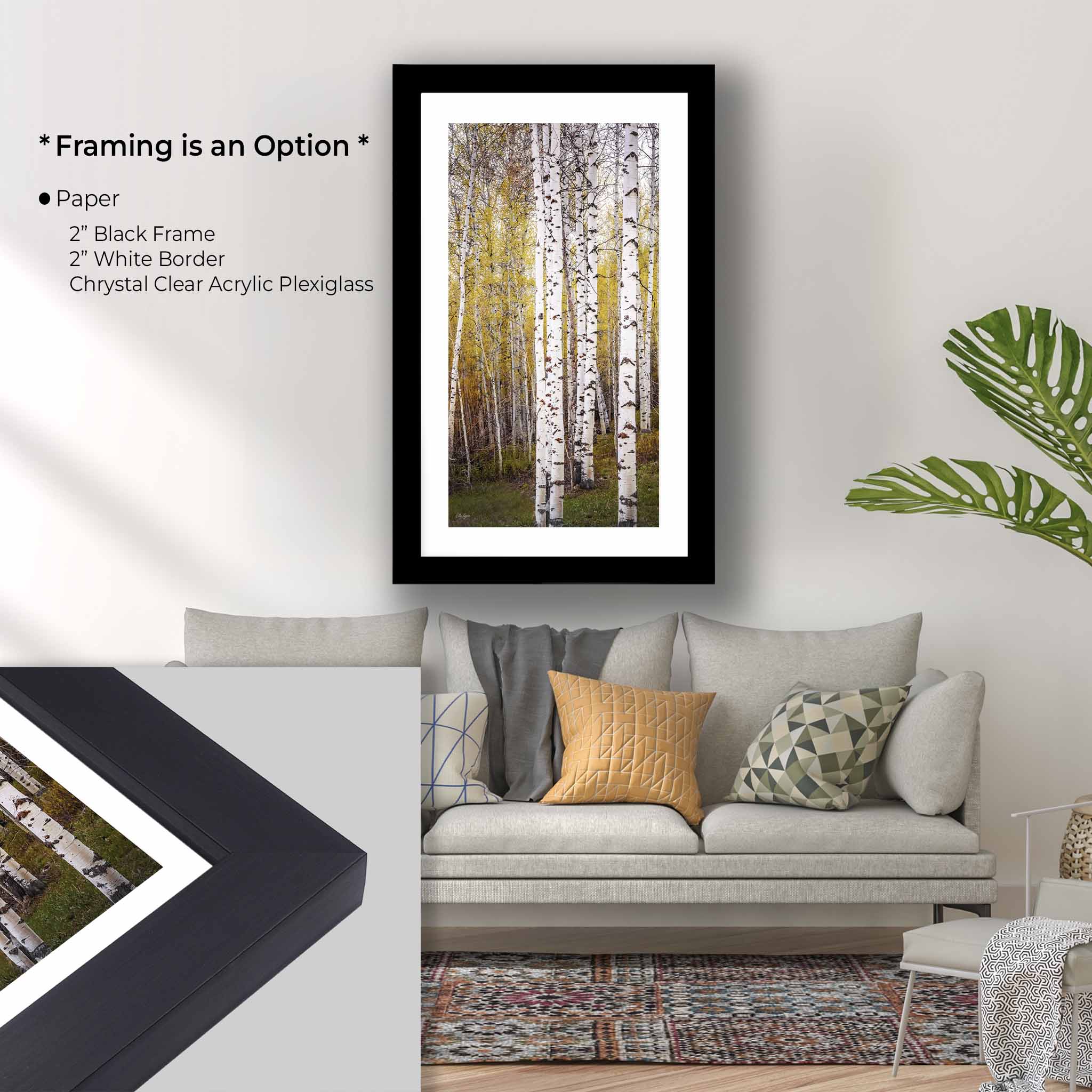 Aspen Grove Art Print – Tranquil Forest Landscape