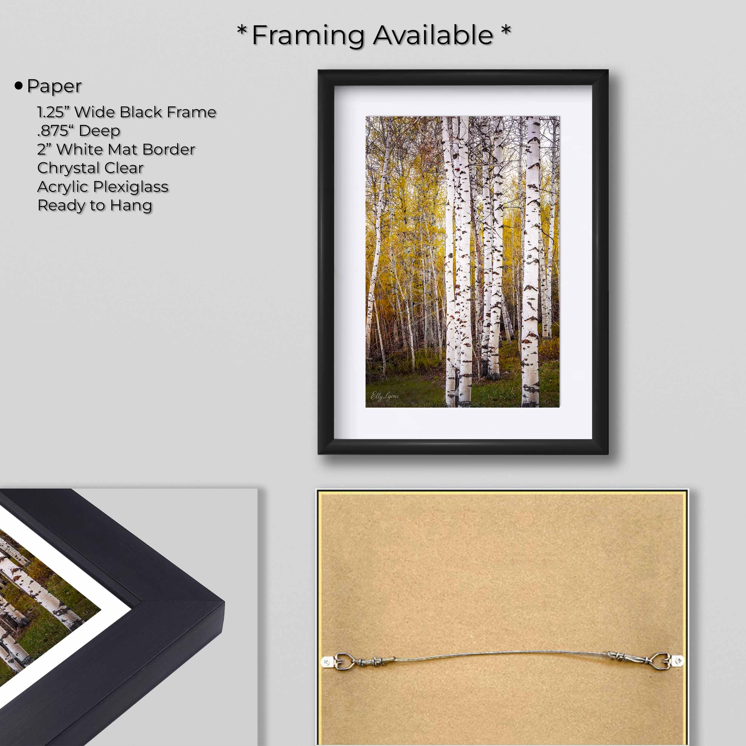 Aspen Grove Print – Tranquil Forest Landscape Decor