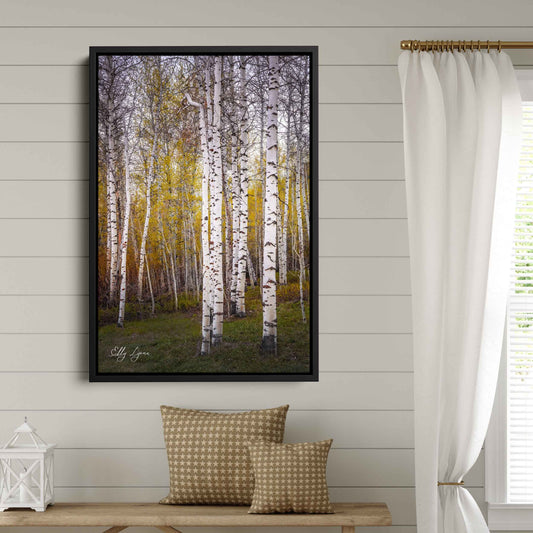 Aspen Grove Art Print – Tranquil Forest Landscape