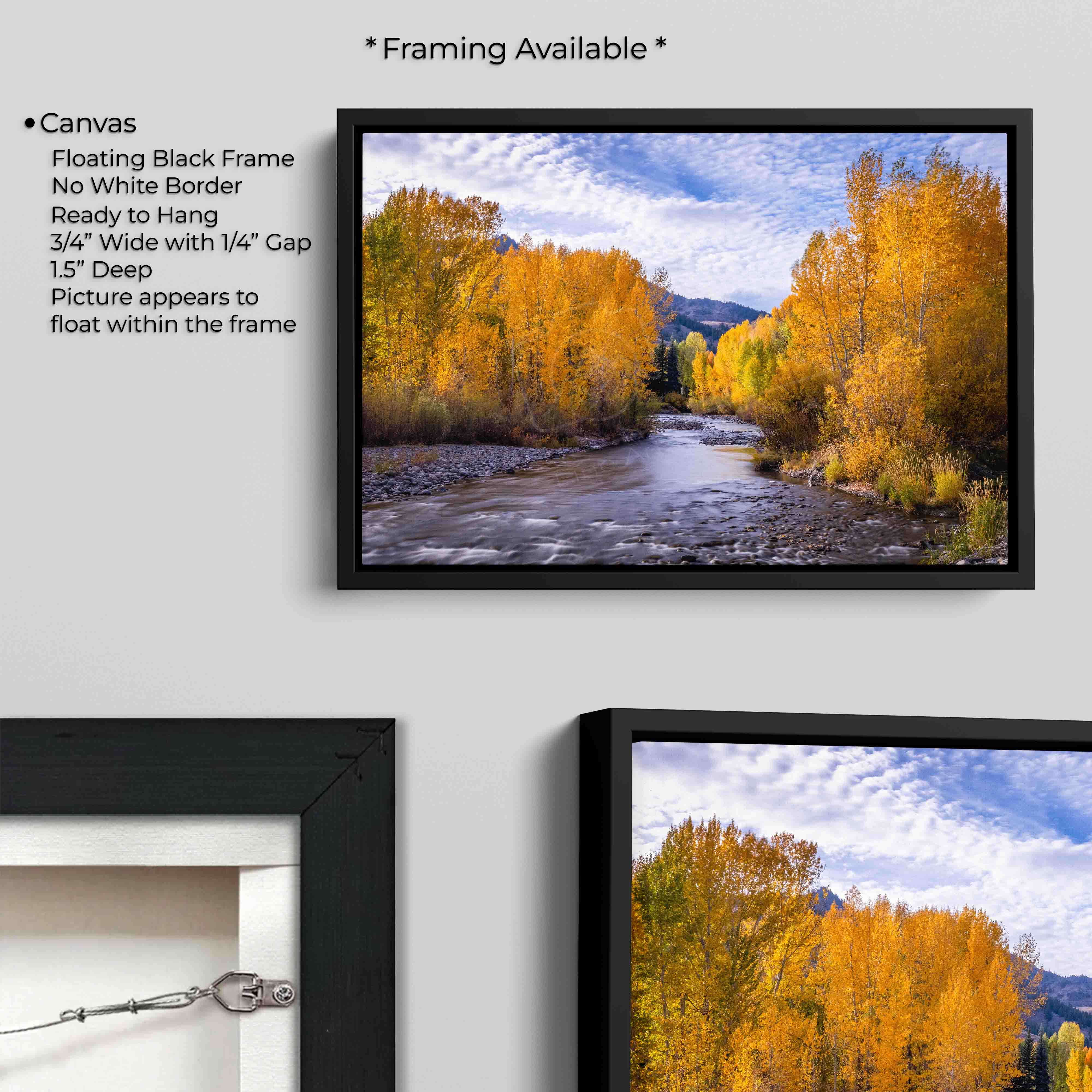 Sun Valley Idaho Landscape Print - “Whispers Through the Aspens”