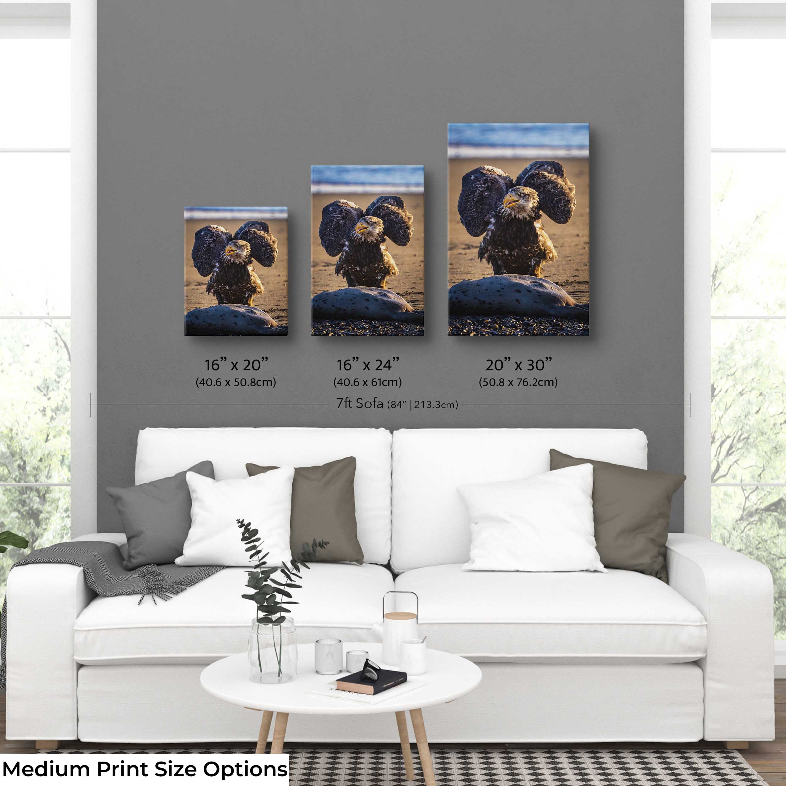 Bald Eagle Print – Kenai River Alaska Wildlife