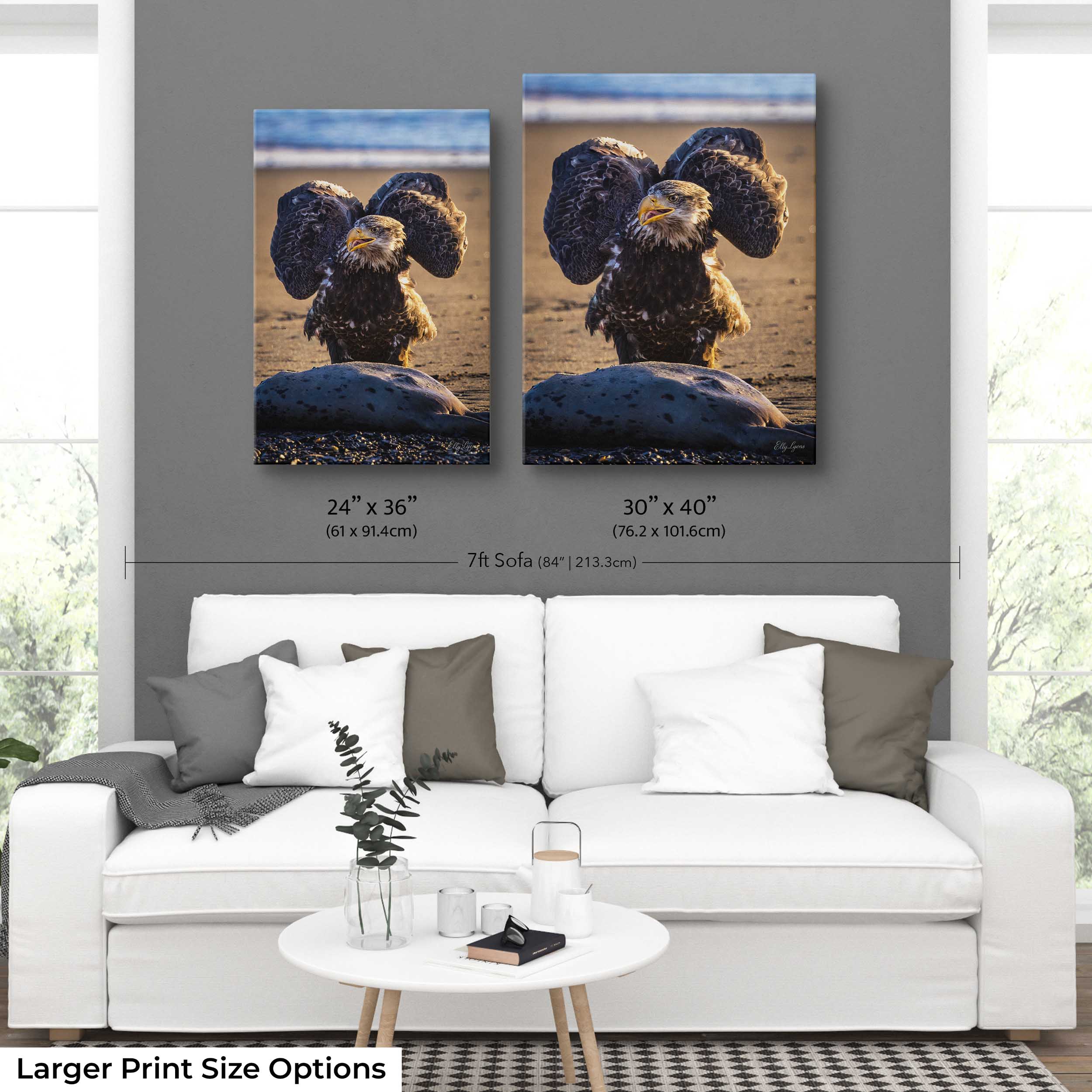 Bald Eagle Print – Kenai River Alaska Wildlife