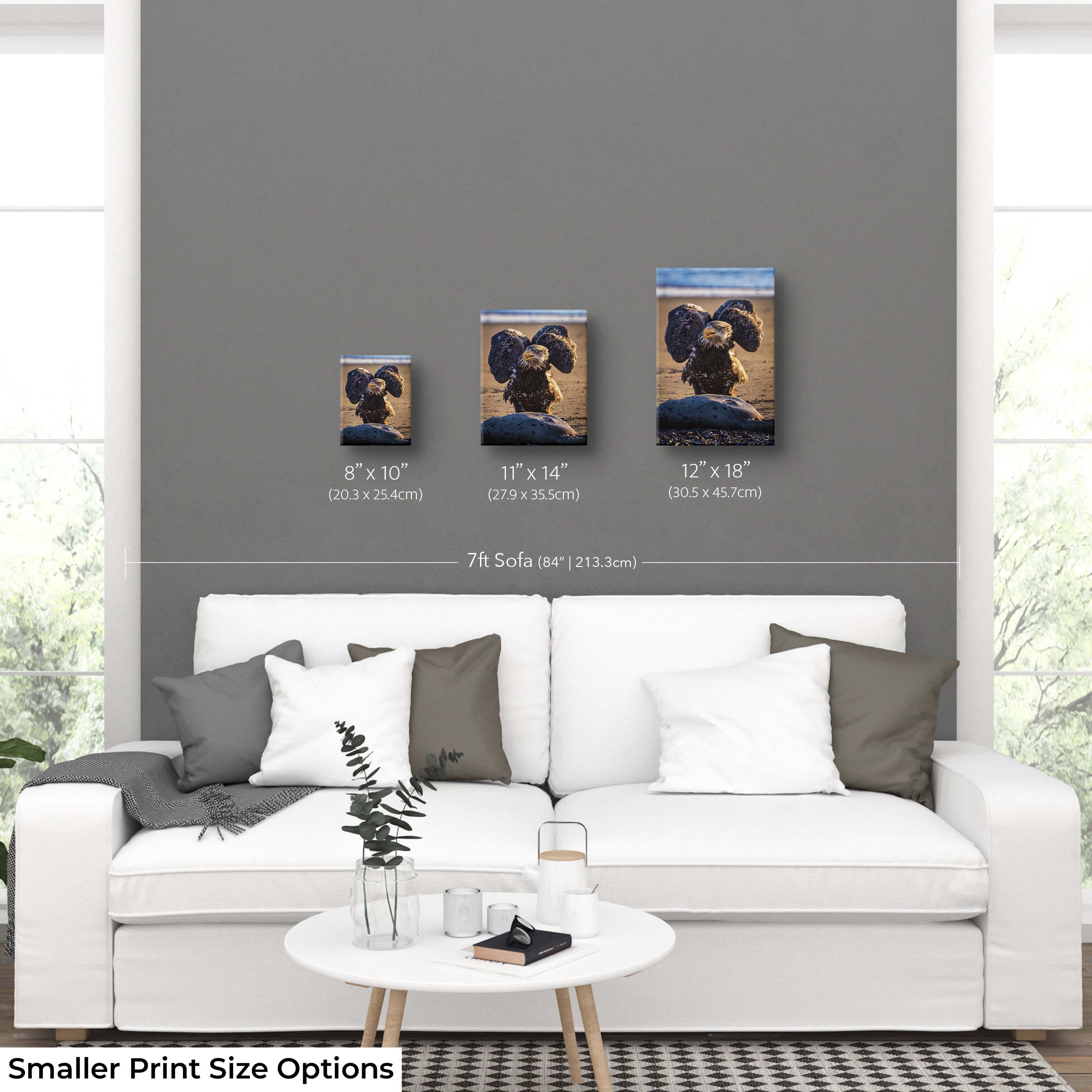 Bald Eagle Print – Kenai River Alaska Wildlife