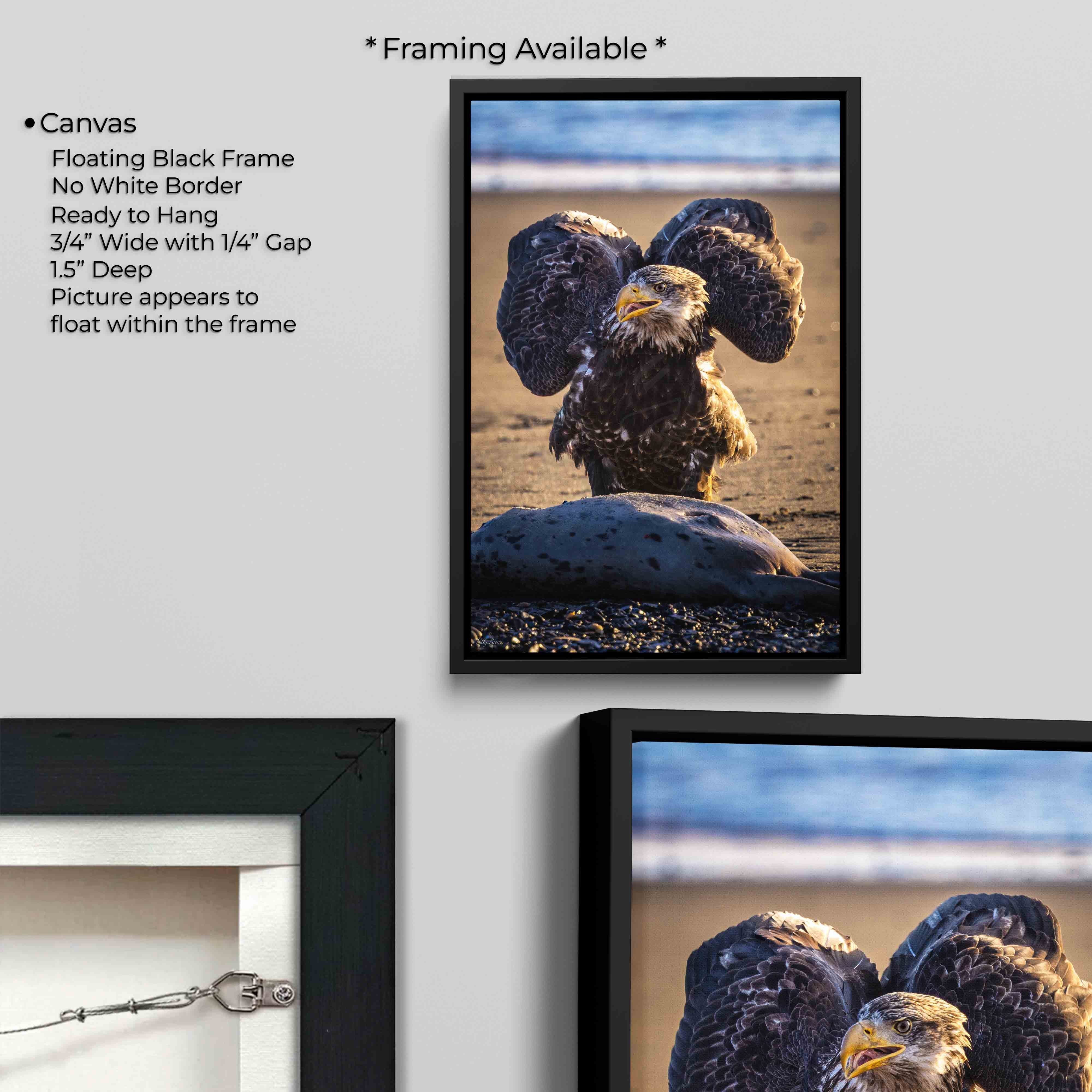 Bald Eagle Print – Kenai River Alaska Wildlife