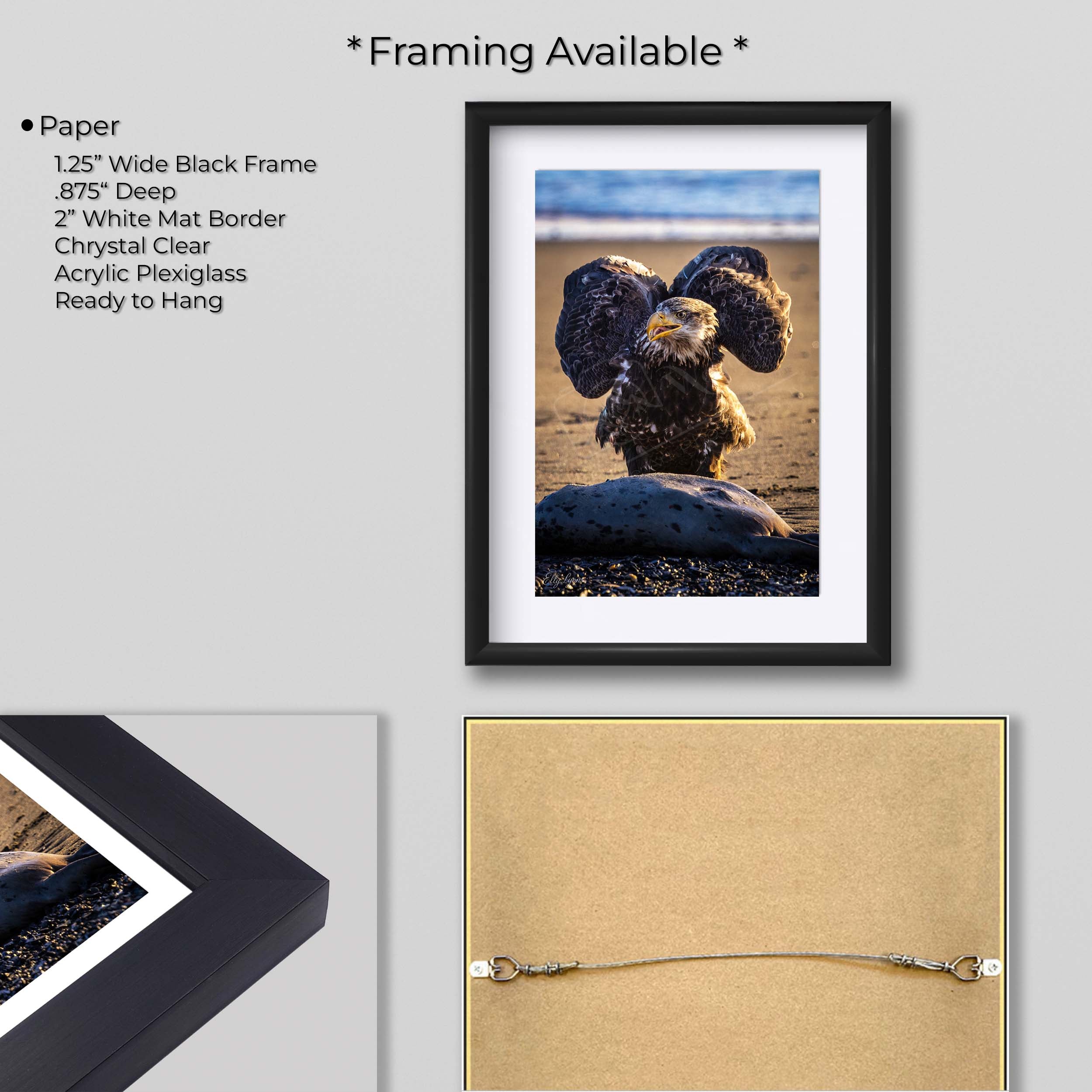 Bald Eagle Print – Kenai River Alaska Wildlife