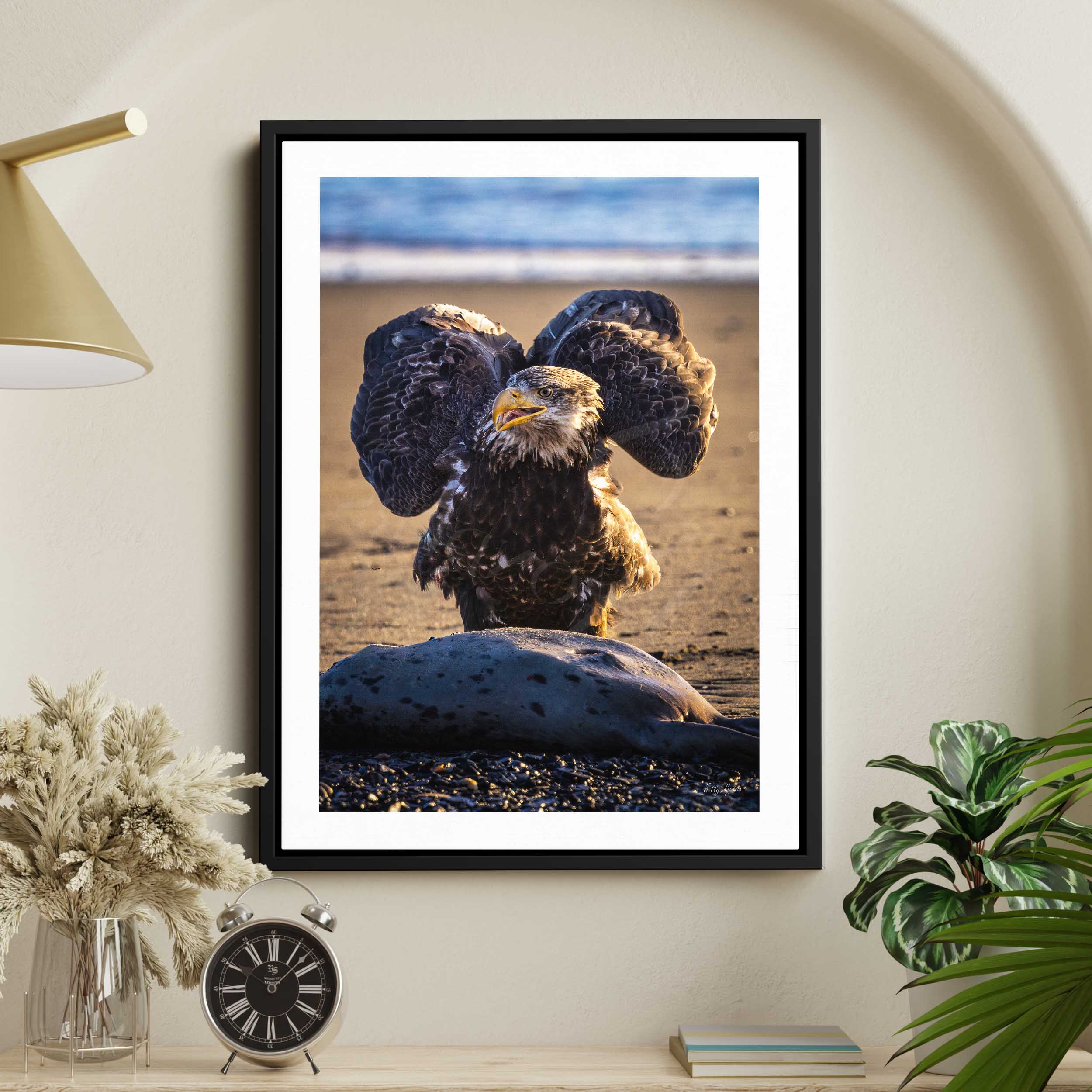 Bald eagle with wings spread standing on Kenai River beach, Alaska wildlife photography, majestic bird of prey, golden light nature art
