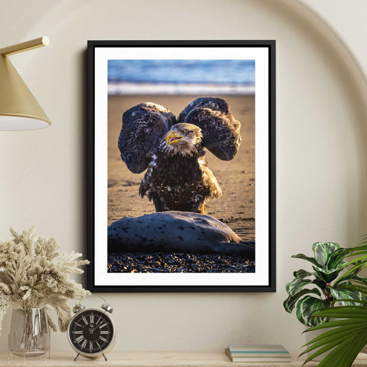 Bald eagle with wings spread standing on Kenai River beach, Alaska wildlife photography, majestic bird of prey, golden light nature art