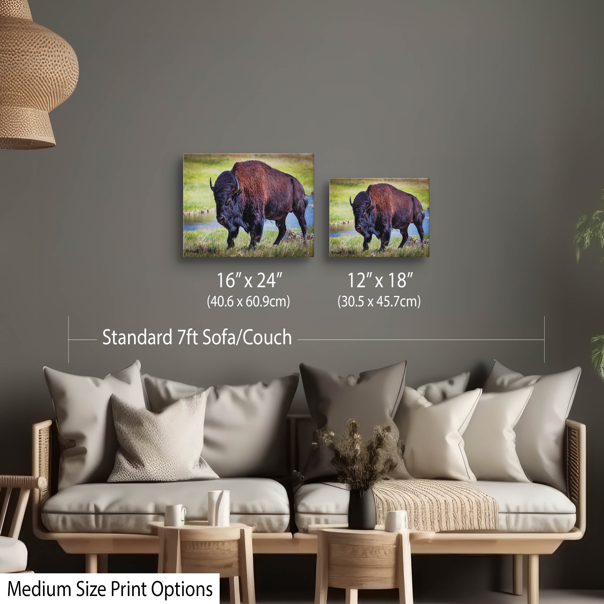 American Bison Art Print – Yellowstone Wildlife Art Prints