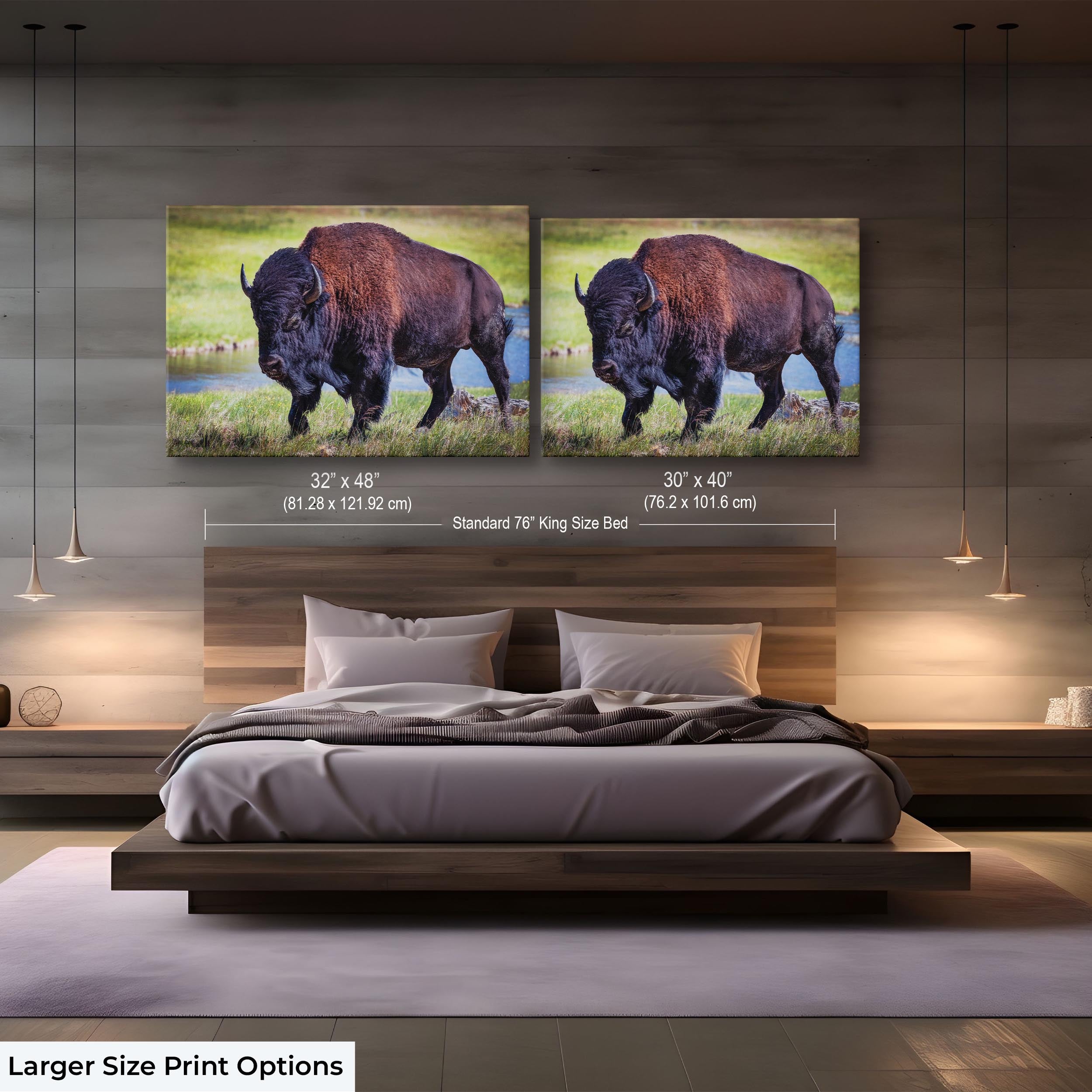 American Bison Art Print – Yellowstone Wildlife Art Prints