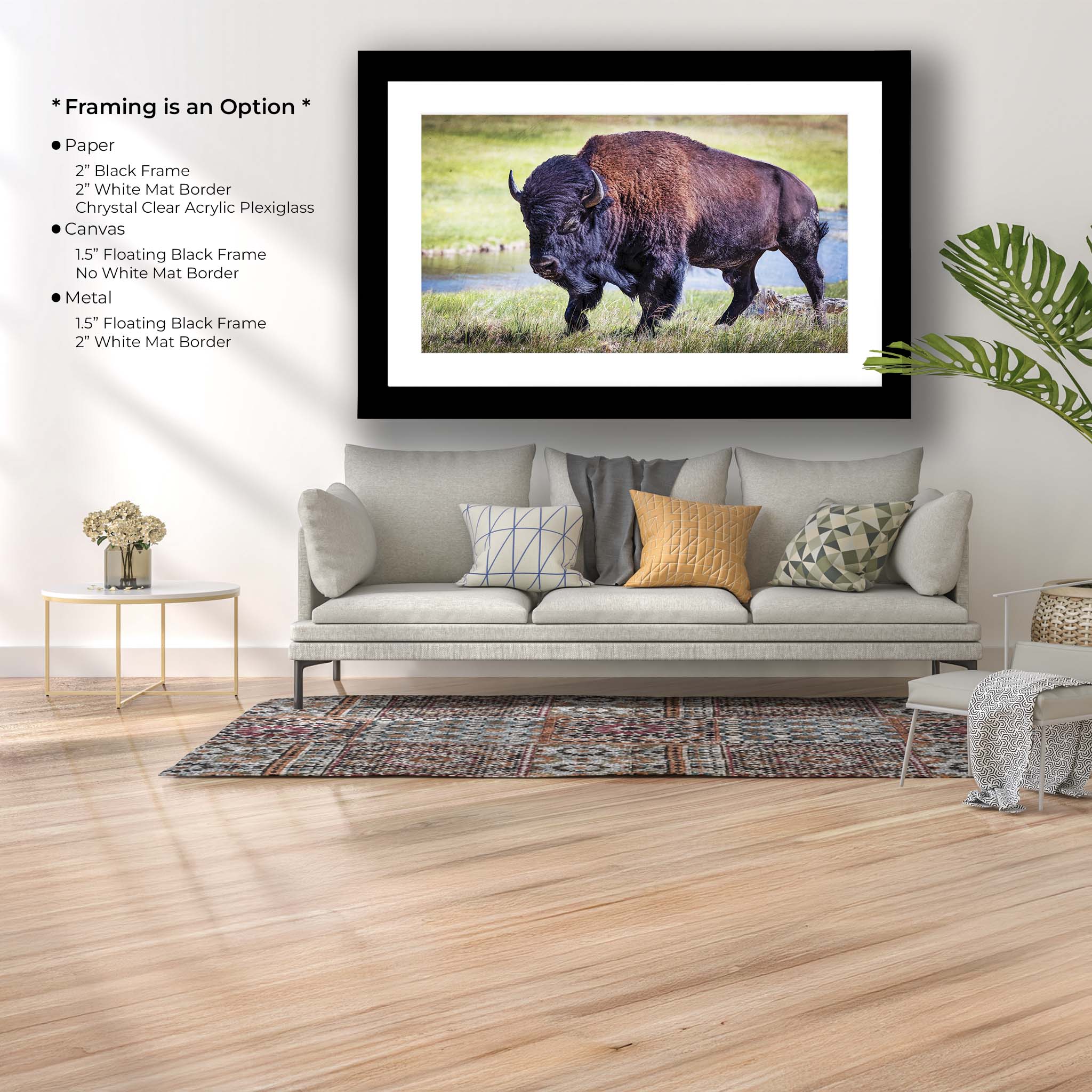 American Bison Art Print – Yellowstone Wildlife Art Prints
