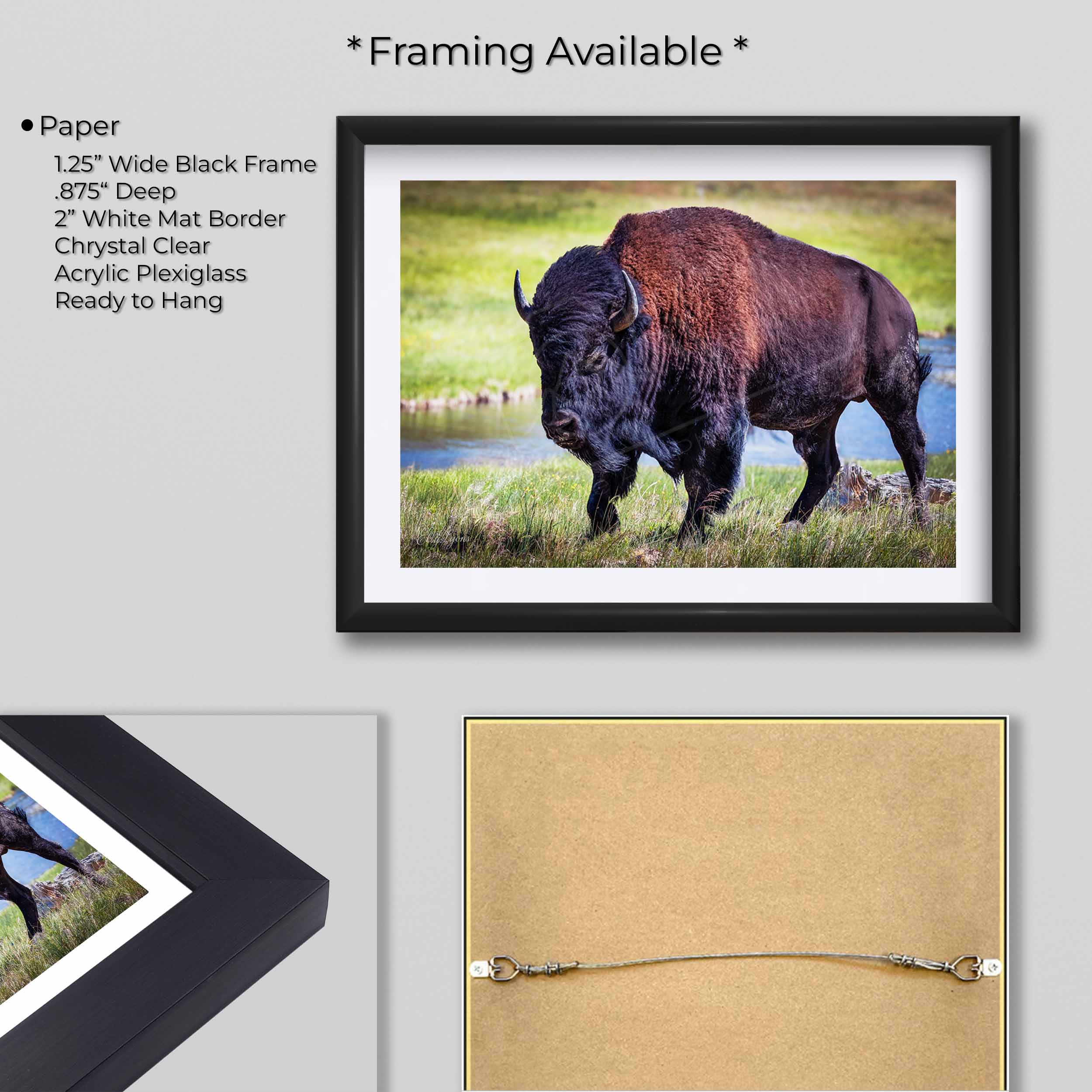 American Bison Wall Art Print – Yellowstone Wildlife Rustic Decor