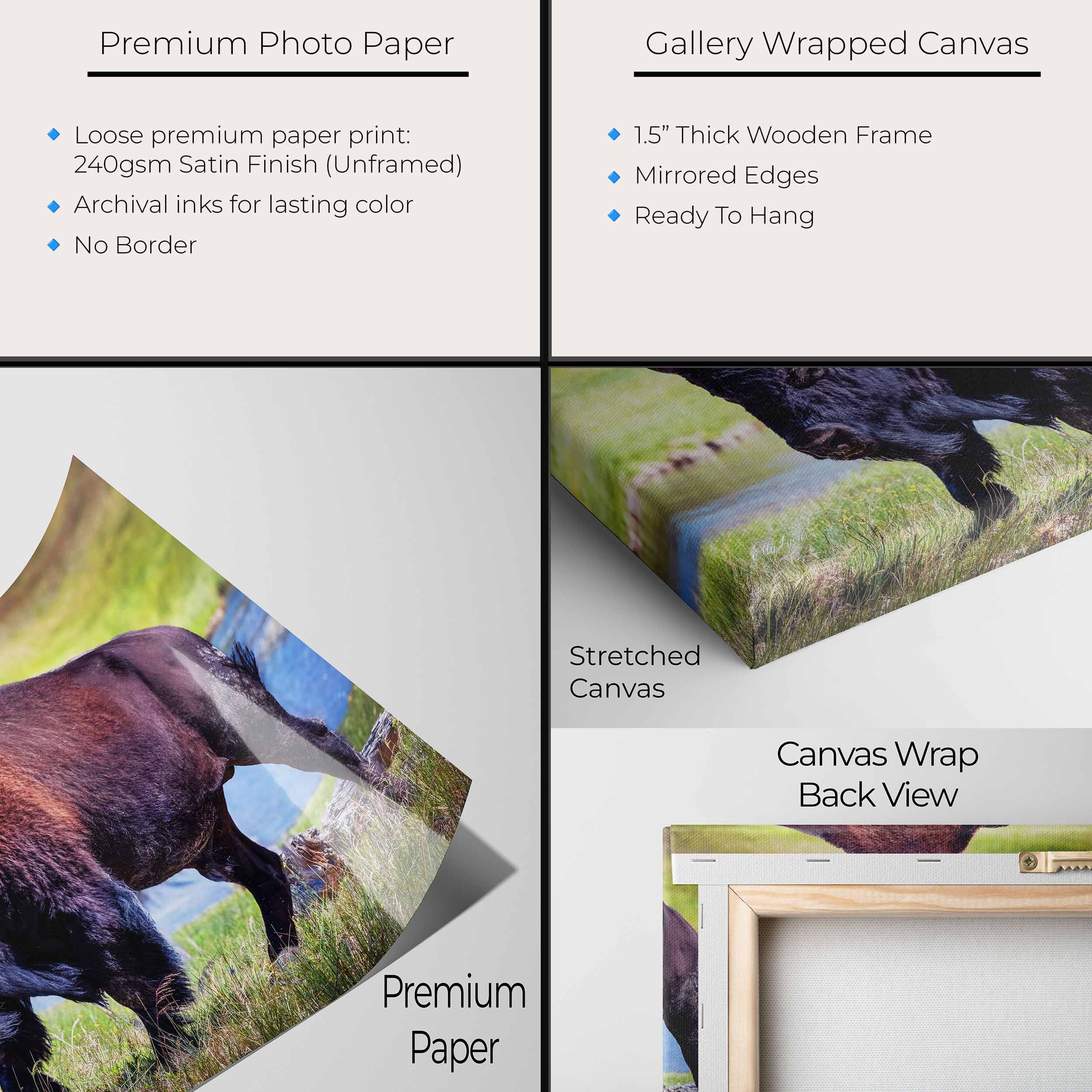 American Bison Wall Art Print – Yellowstone Wildlife Photography, Rustic Western Decor, Fine Art Buffalo Poster