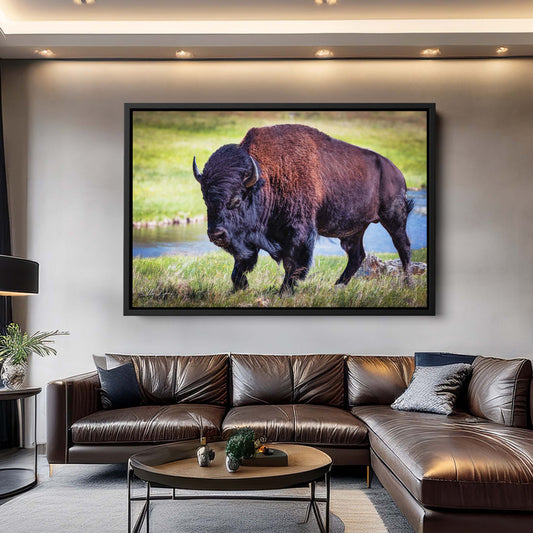 American Bison Art Print – Yellowstone Wildlife Art Prints
