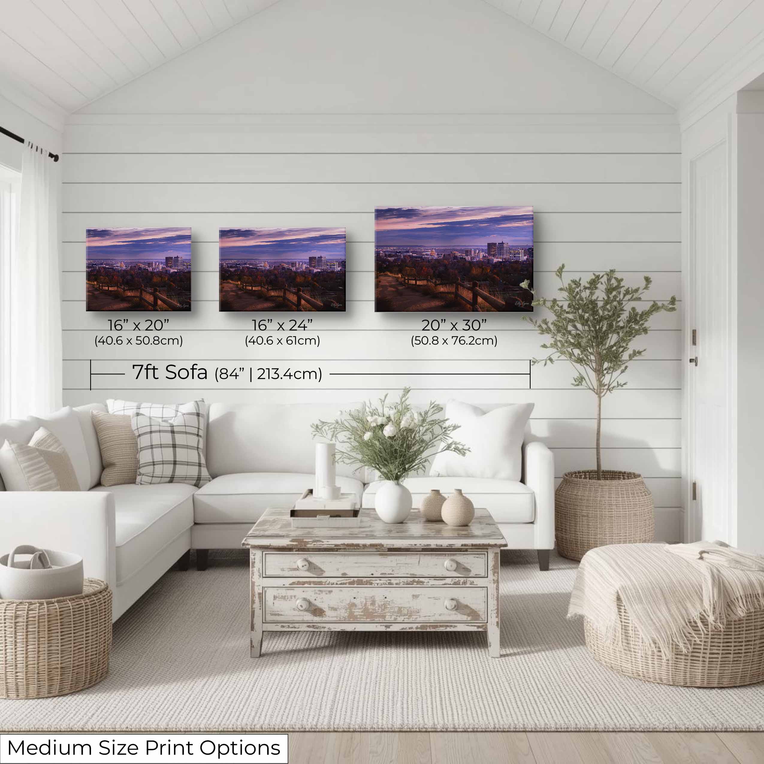 Boise Idaho Skyline Art Print – Sunset Cityscape from the Foothills