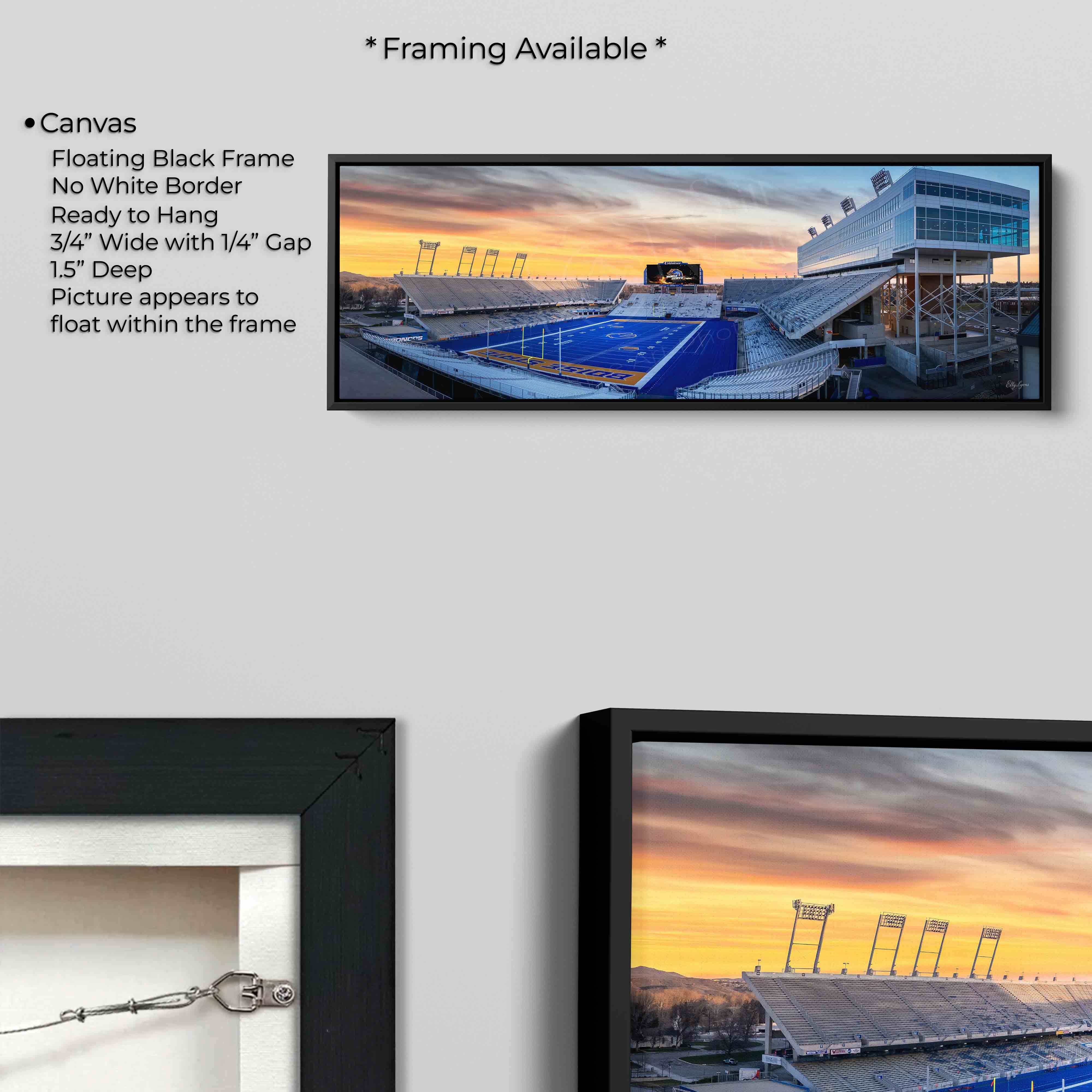 Boise State Broncos Albertsons Stadium Fine Art Print