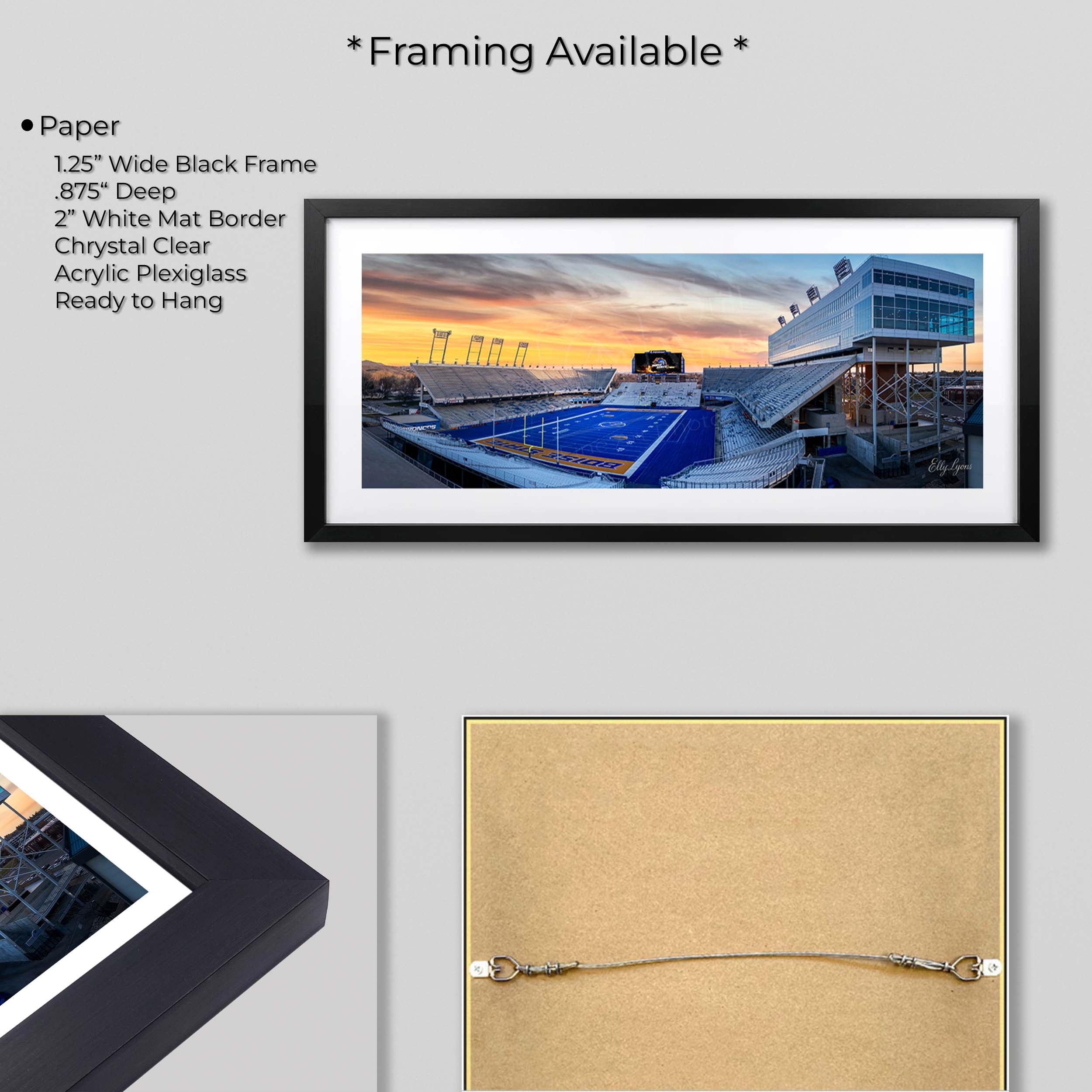 Boise State Broncos Albertsons Stadium Fine Art Print