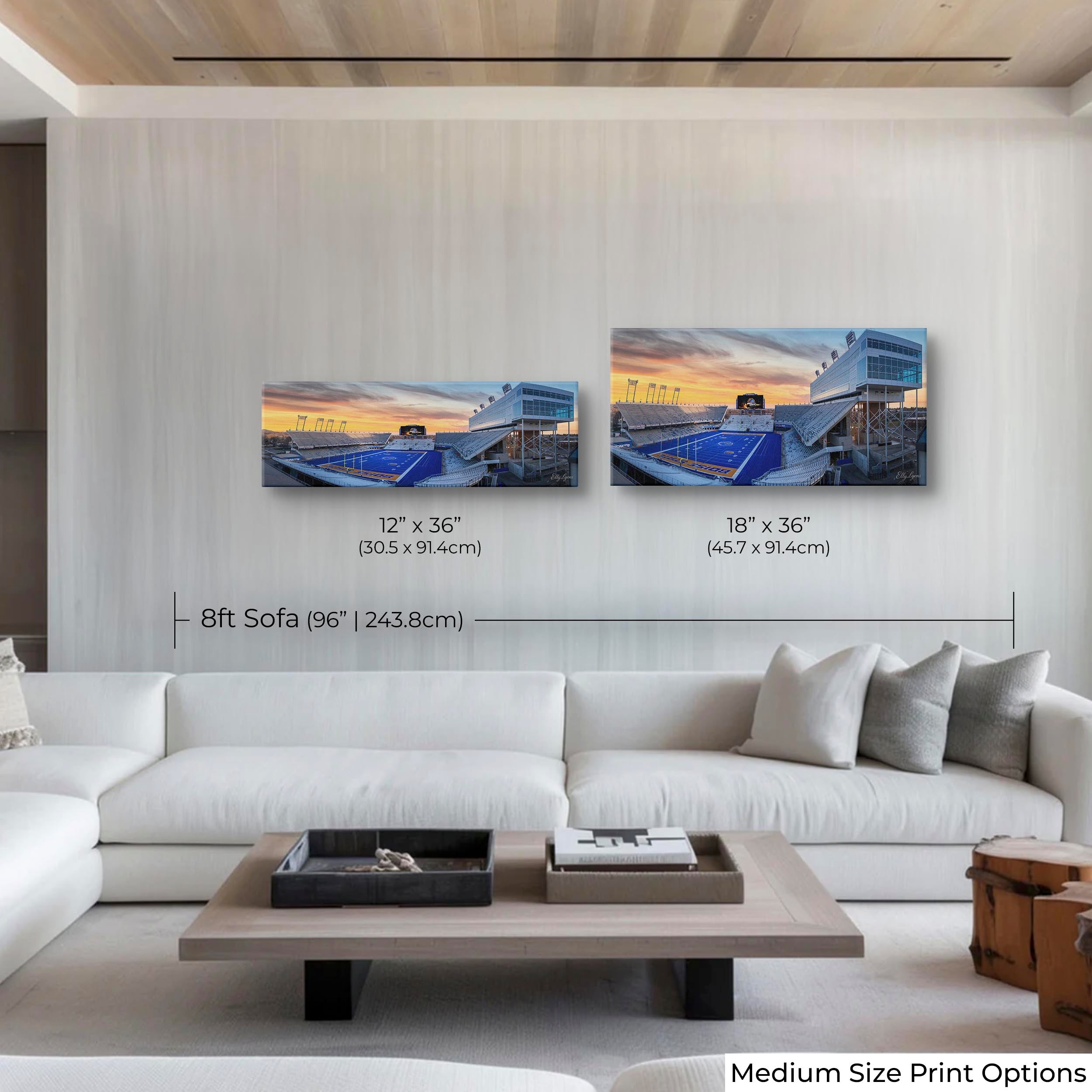 Boise State Broncos Albertsons Stadium Fine Art Print