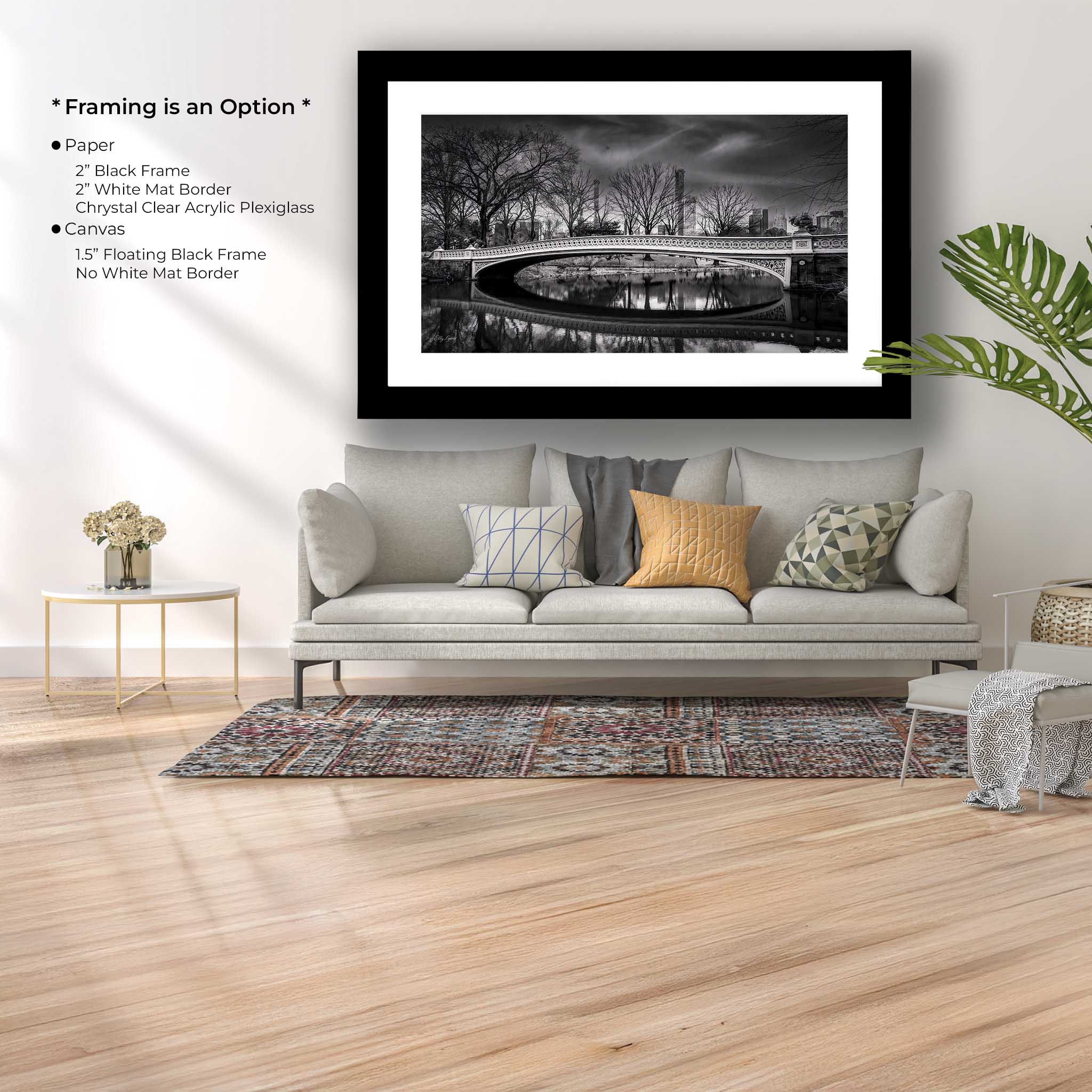 "The Crossing Place" - What the Water Knows - Bowe Bridge at Central Park