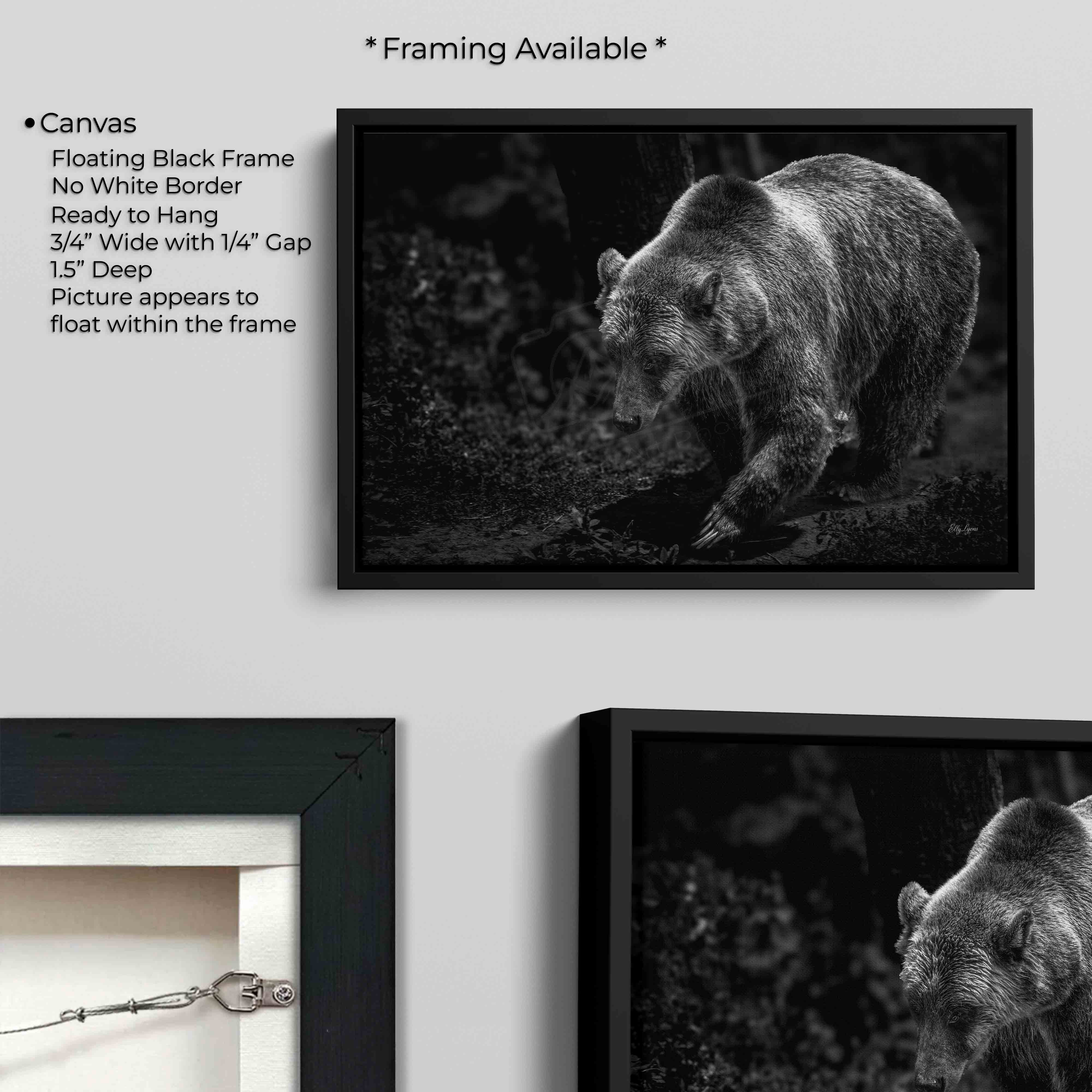 Grizzly Bear Print – Majestic Black & White Wildlife Wall Decor