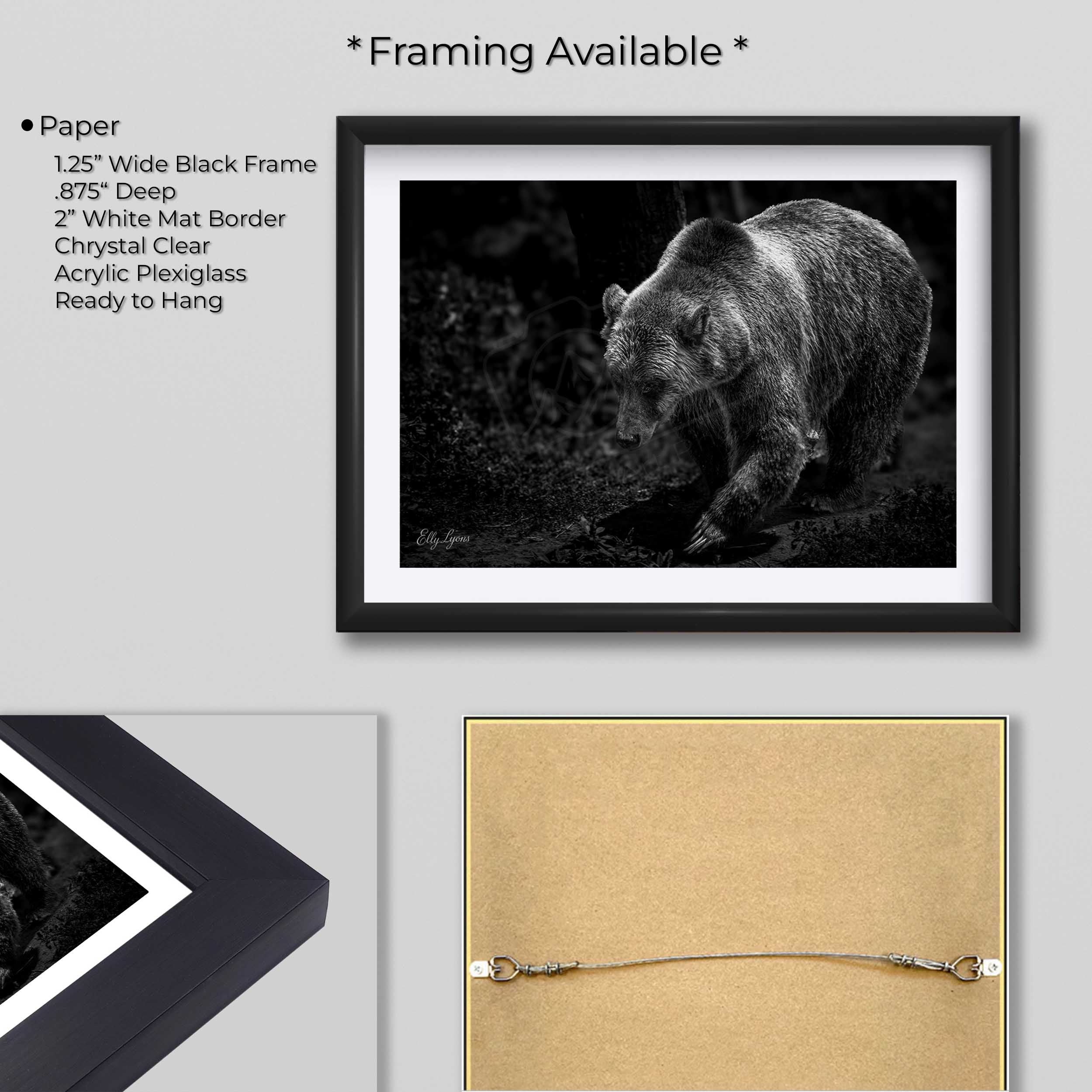Grizzly Bear Print – Majestic Black & White Wildlife Wall Decor