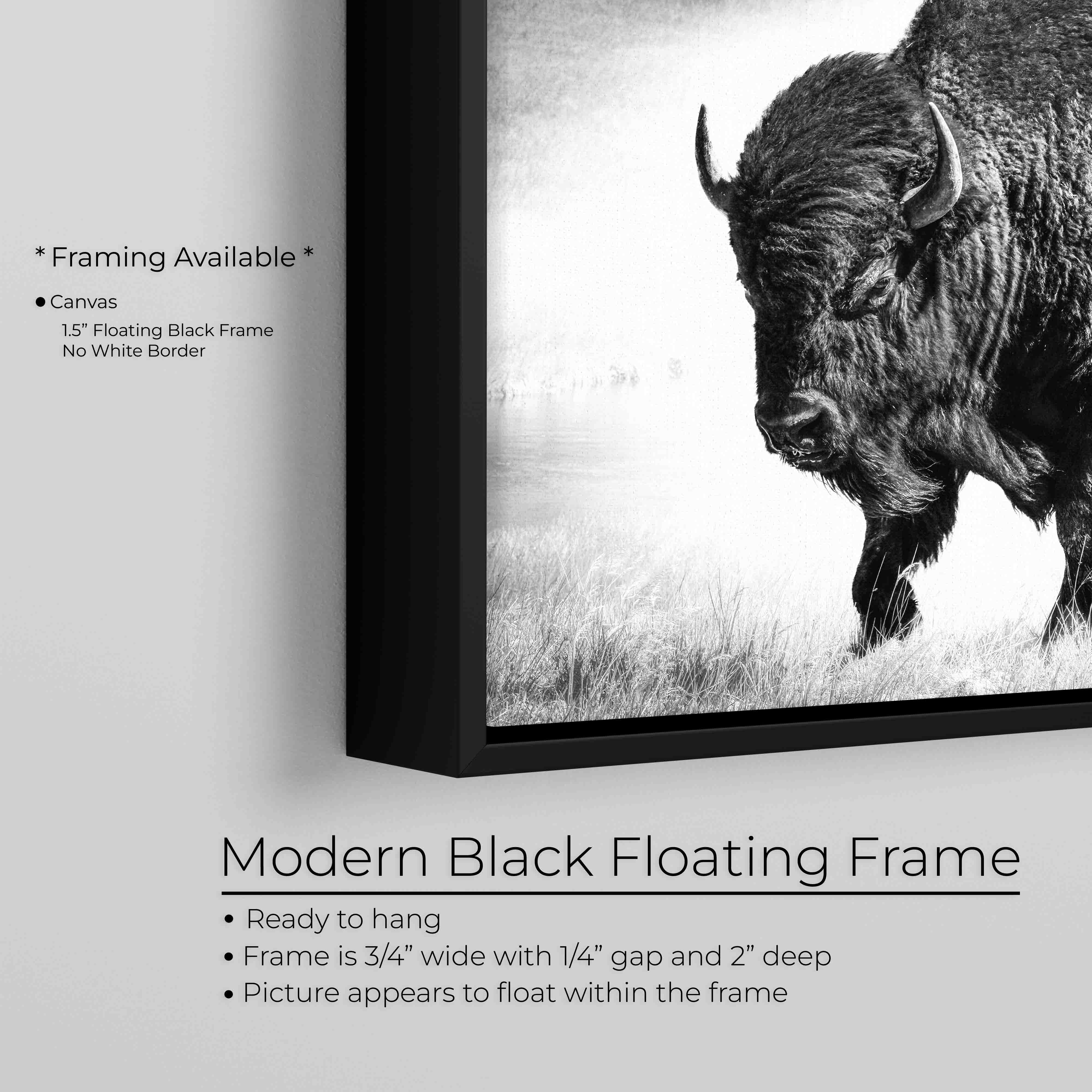 Buffalo Bison Art Print – Yellowstone Wildlife Art Prints | Rustic Western Wall Decor