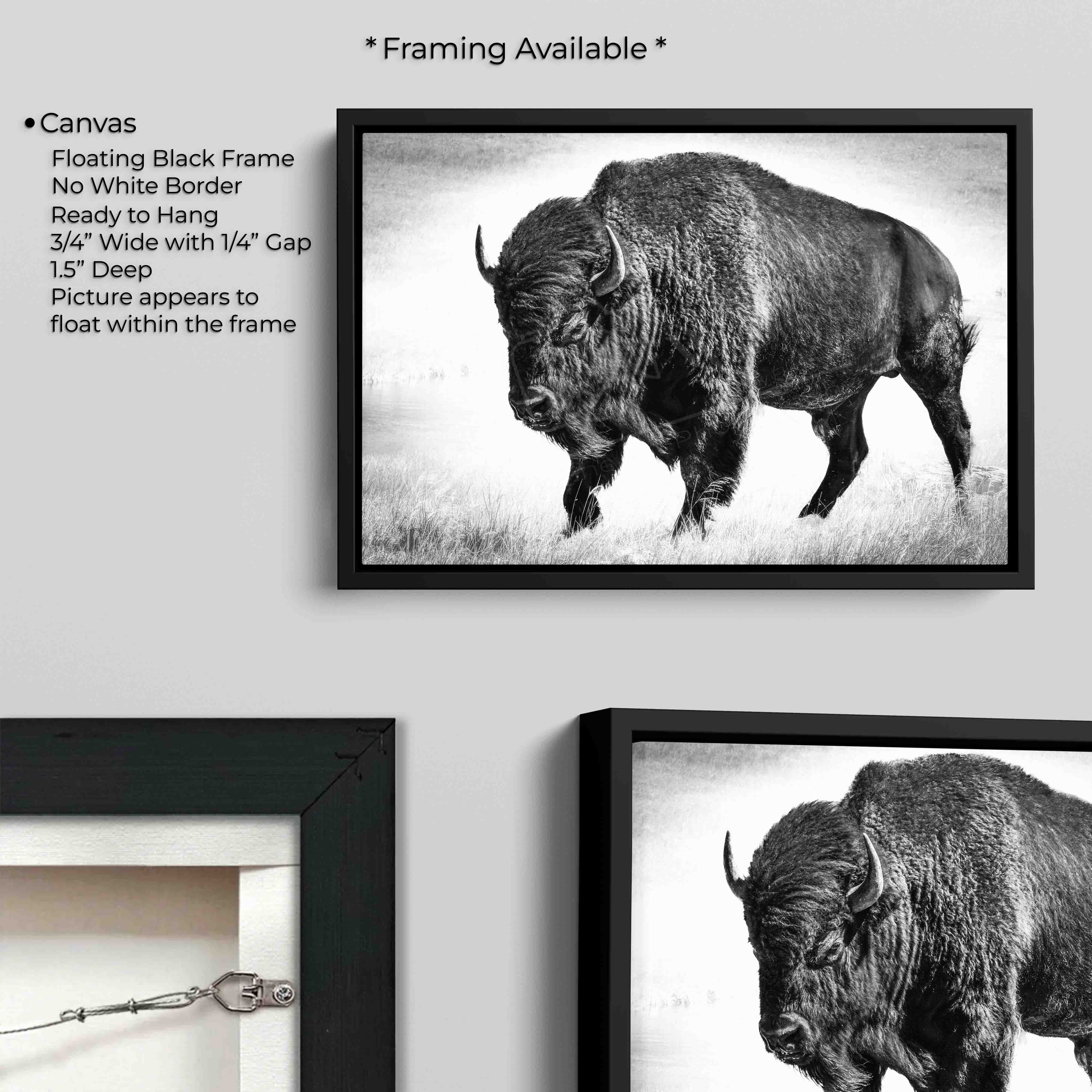 Buffalo Bison Art Print – Yellowstone Wildlife Rustic Wall Decor