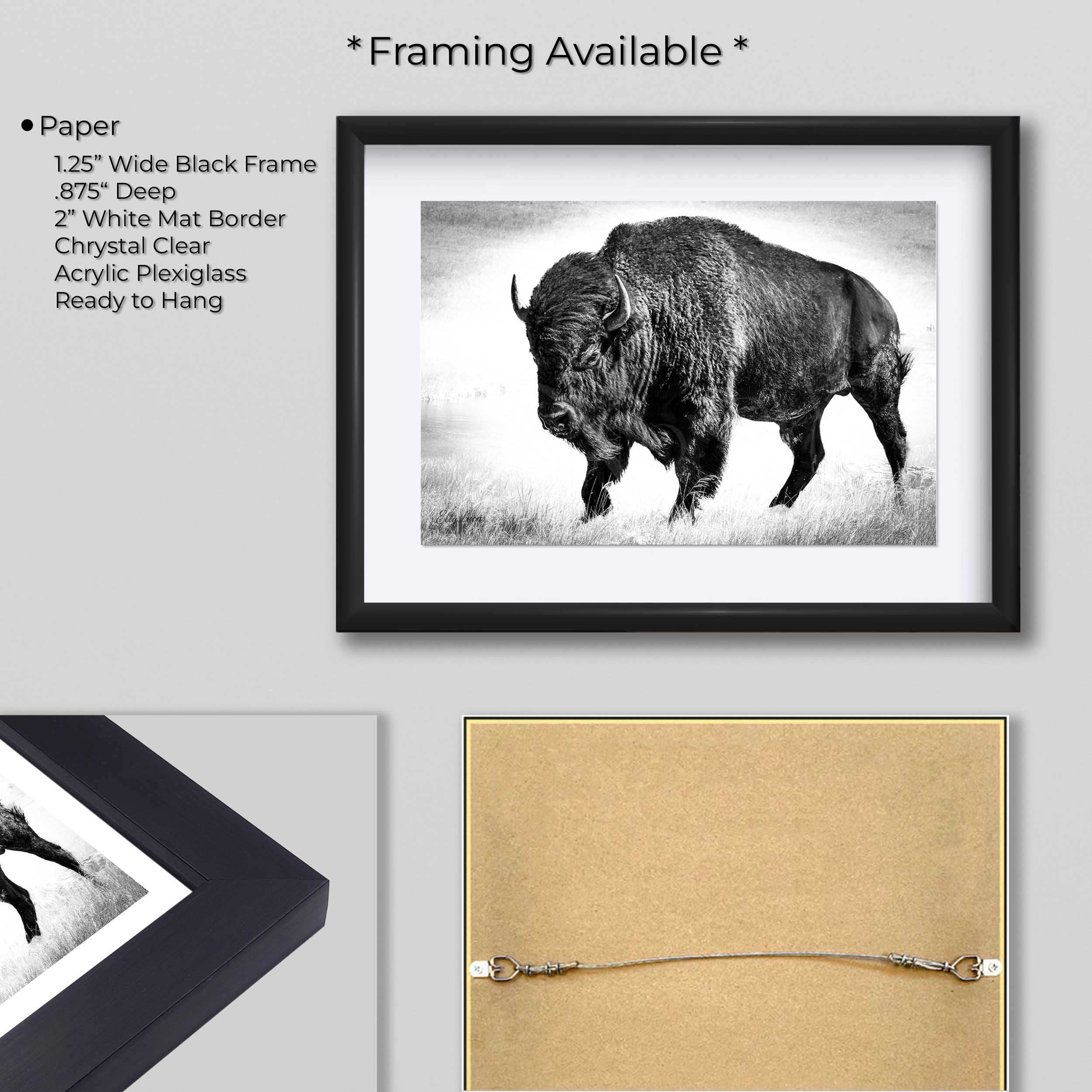 Buffalo Bison Art Print – Yellowstone Wildlife Rustic Wall Decor