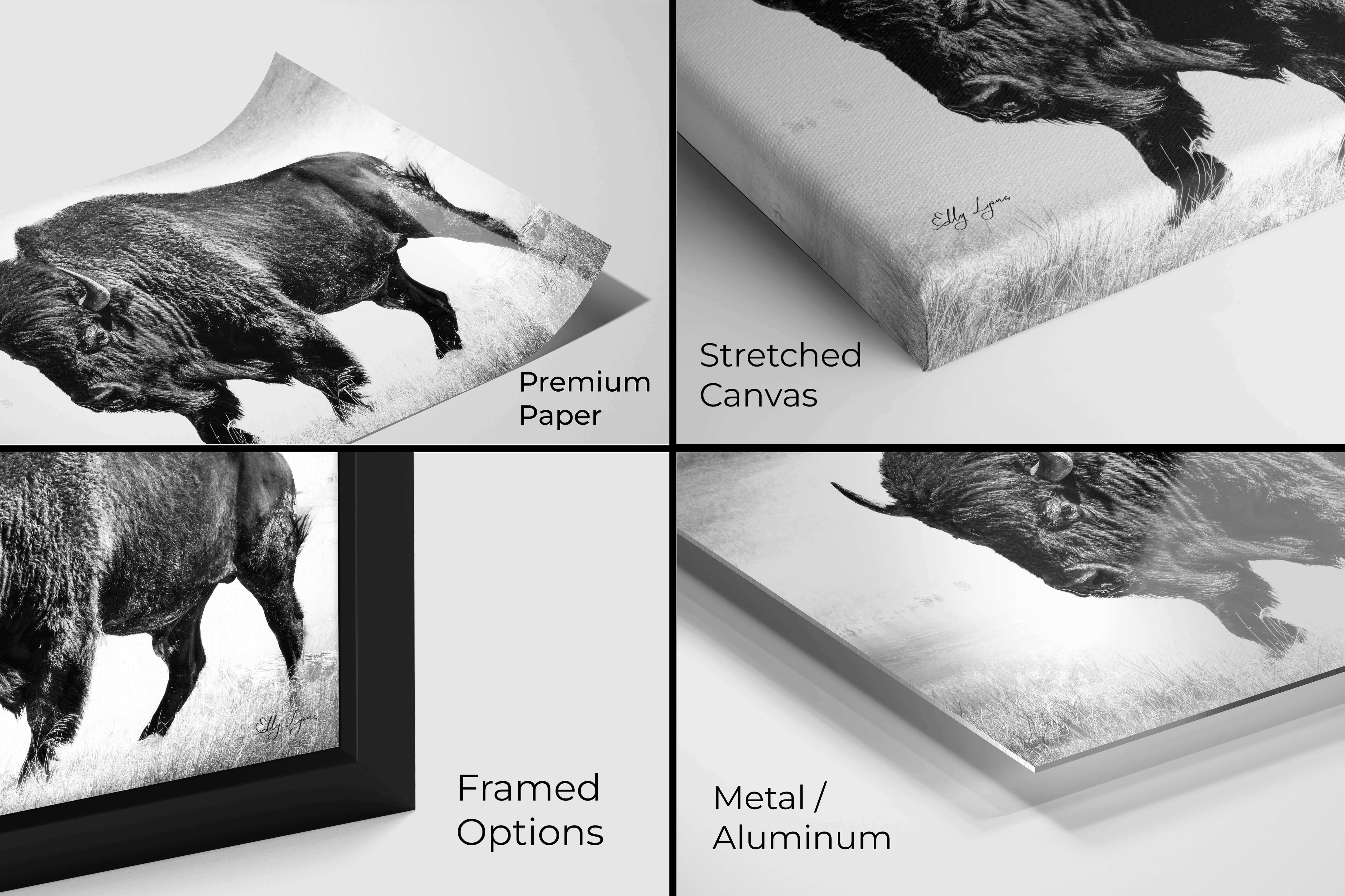 Buffalo Bison Art Print – Yellowstone Wildlife Art Prints | Rustic Western Wall Decor