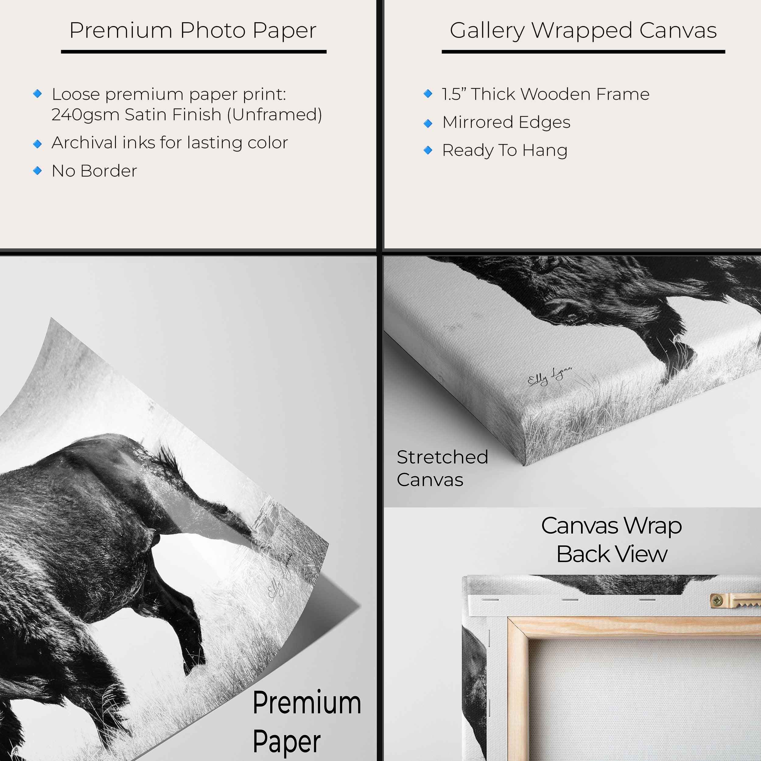 Buffalo Bison Art Print – Yellowstone Wildlife Art Prints | Rustic Western Wall Decor