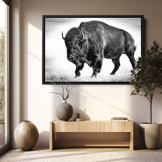 American bison in high key black and white, minimalist fine art print for modern rustic wall decor