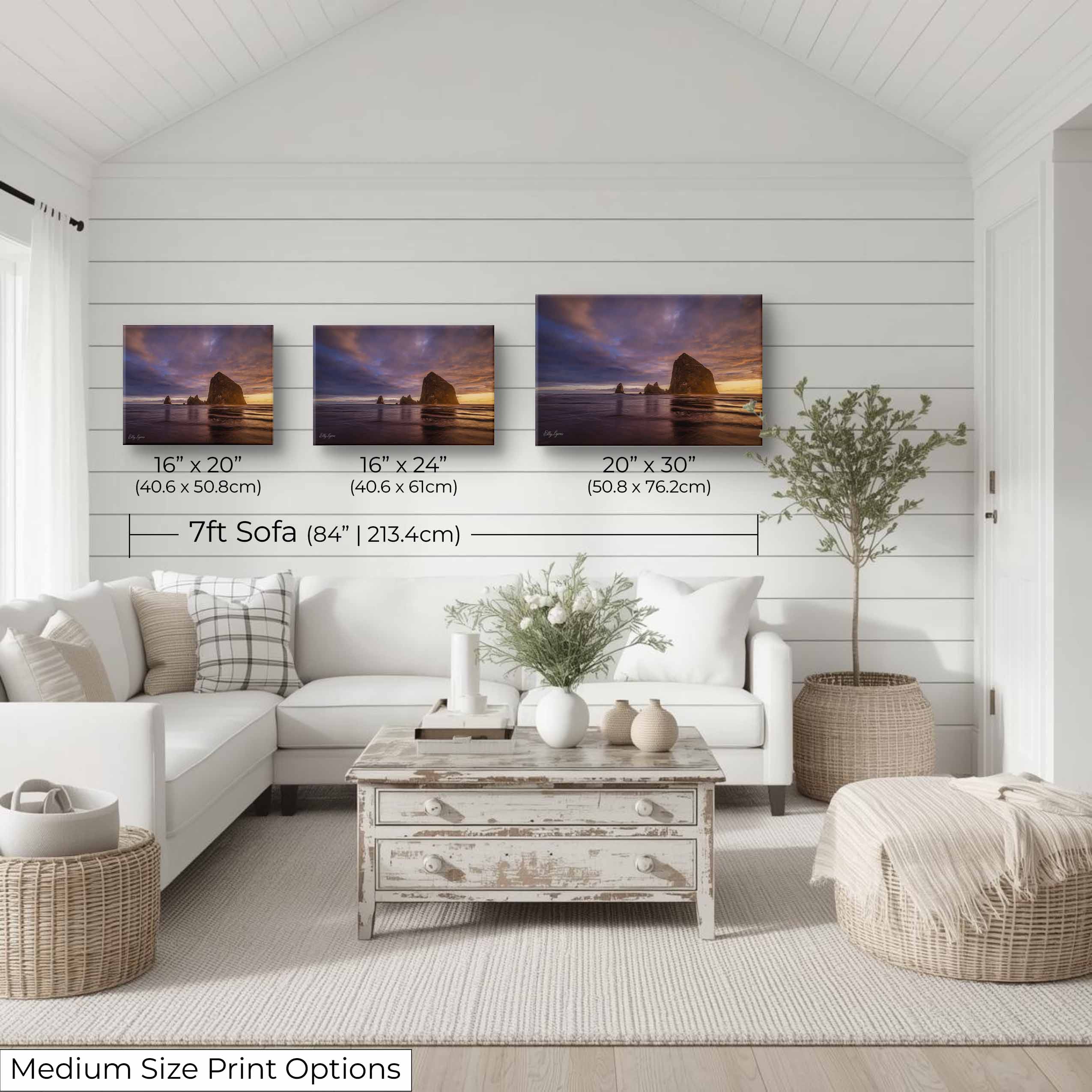 "Refuge in the Chaos" – Haystack Rock at Sunset