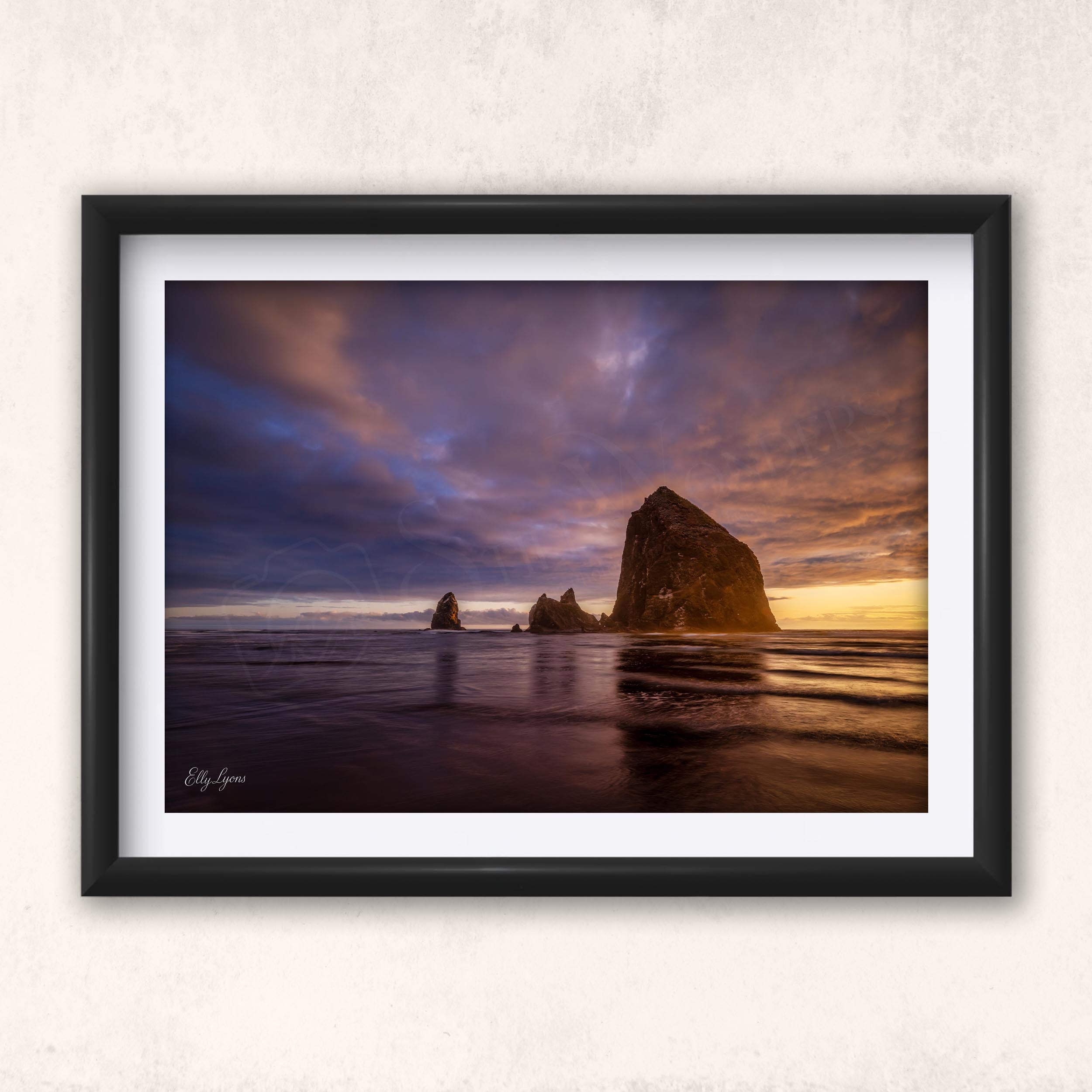 "Refuge in the Chaos" - Haystack Rock