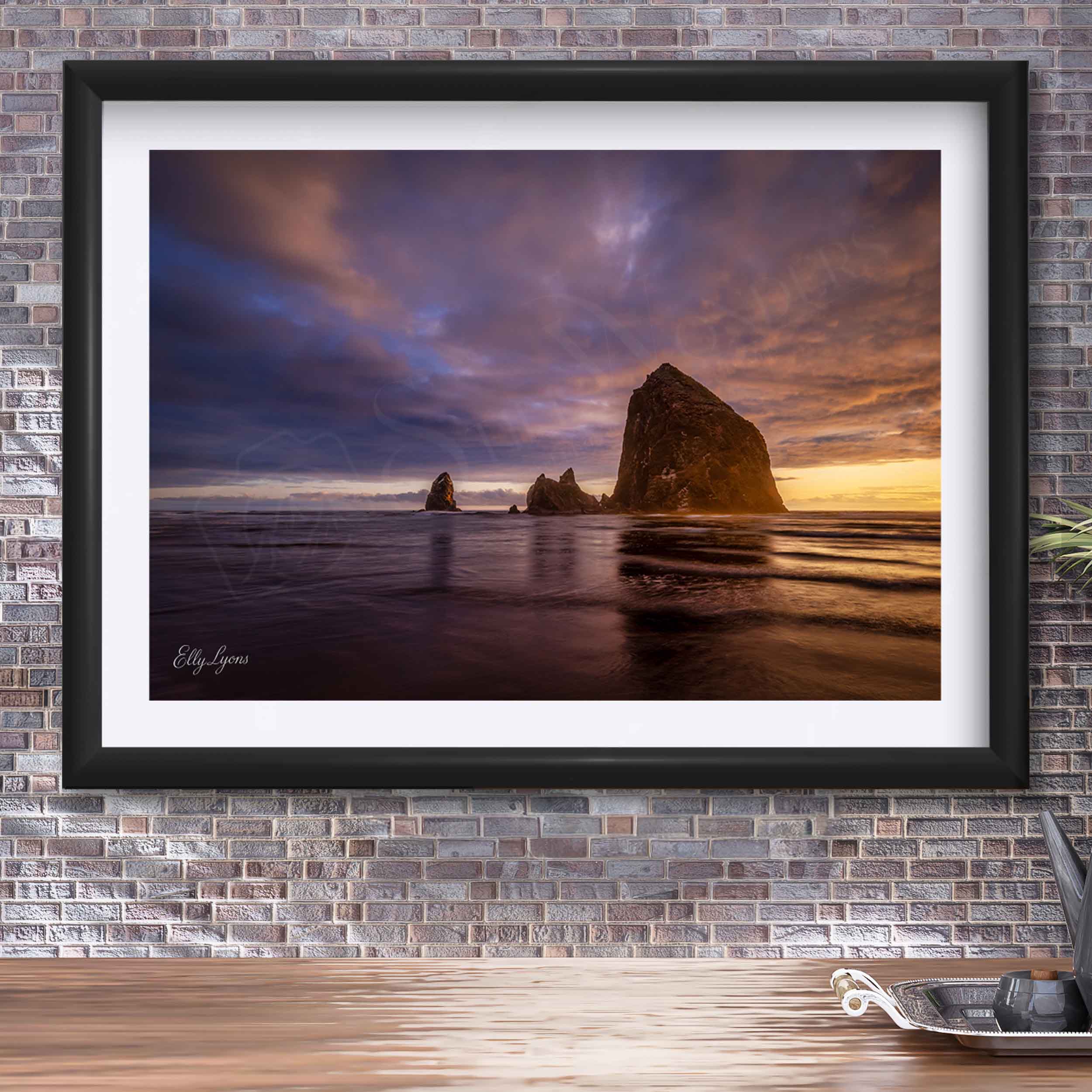 "Refuge in the Chaos" - Haystack Rock
