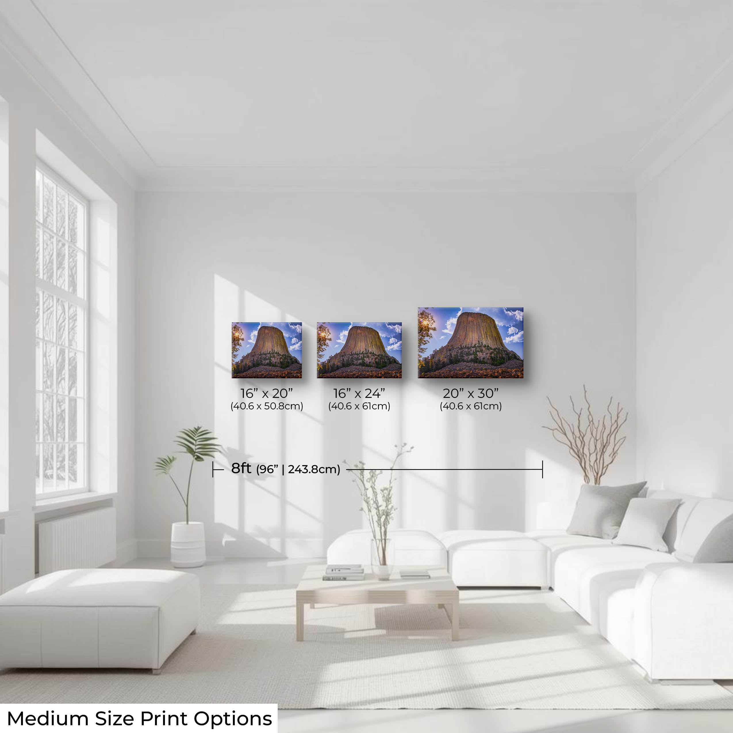 Devil’s Tower Print