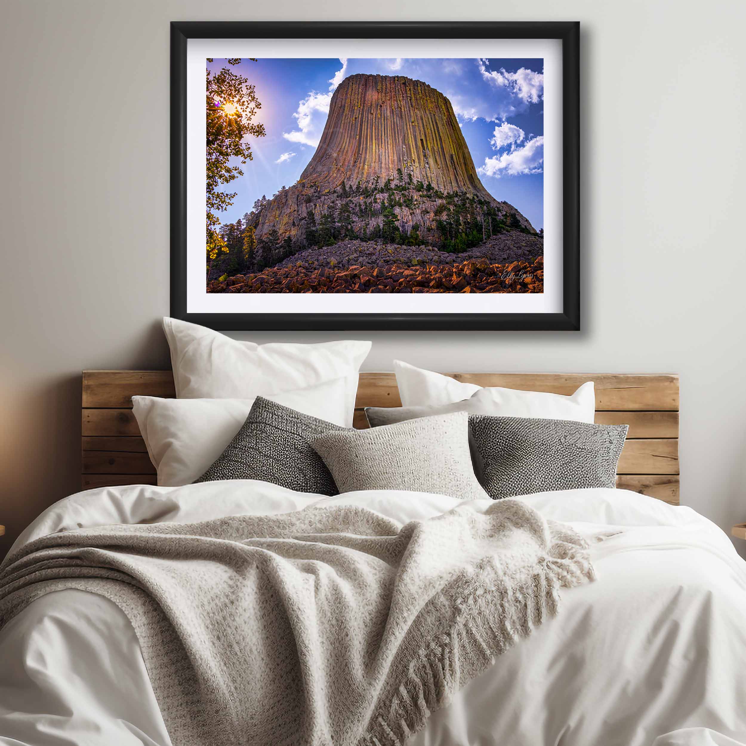 Devil’s Tower Print